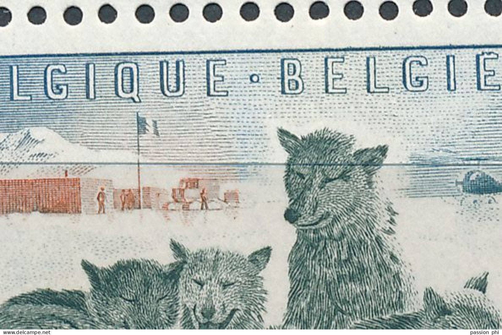 BELGIUM BELGIQUE COB BL31 V LH "OREILLE ET TRAINEAU" - 1924-1960