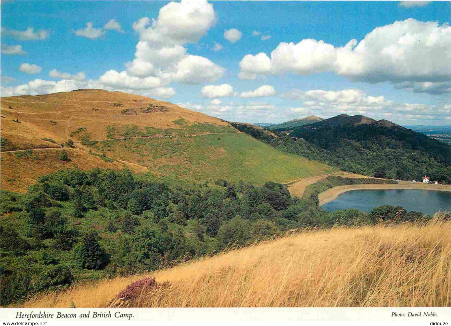 Angleterre - Heredfordshire Beacon And British Camp - Heredfordshire - England - Royaume Uni - UK - United Kingdom - CPM - Herefordshire