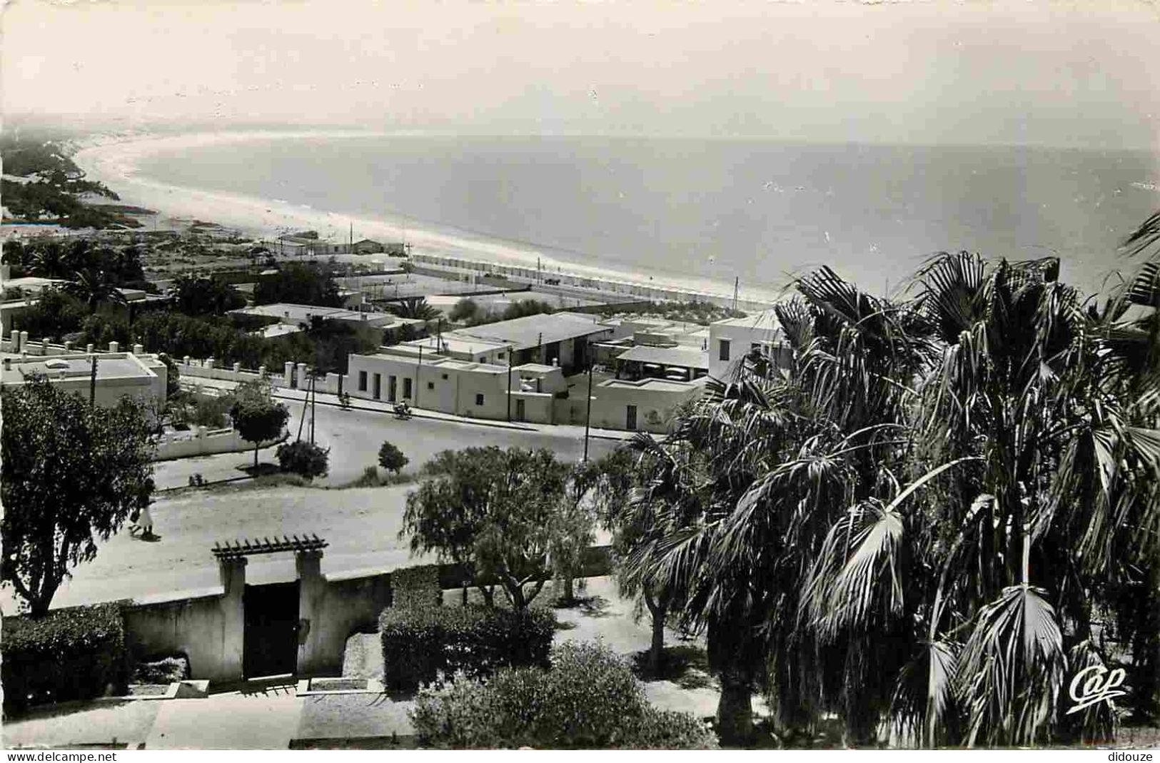 Maroc - Agadir - Vue Sur La Baie Et La Plage - Mention Photographie Véritable - Carte Dentelée - CPSM Format CPA - Voir  - Agadir