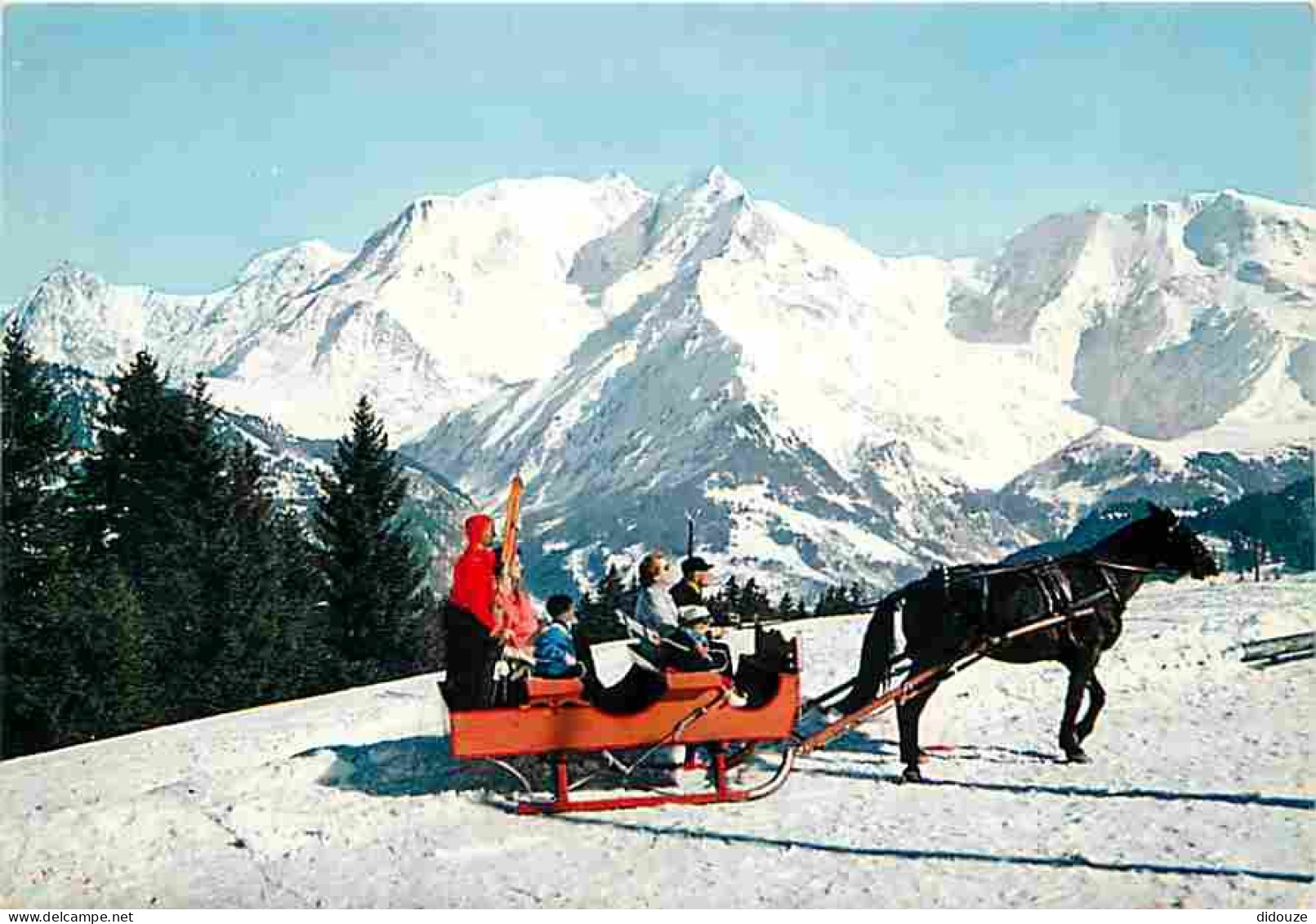 Animaux - Chevaux - Panorama Sur La Chaine Du Mont Blanc - Traineau - CPM - Voir Scans Recto-Verso - Pferde