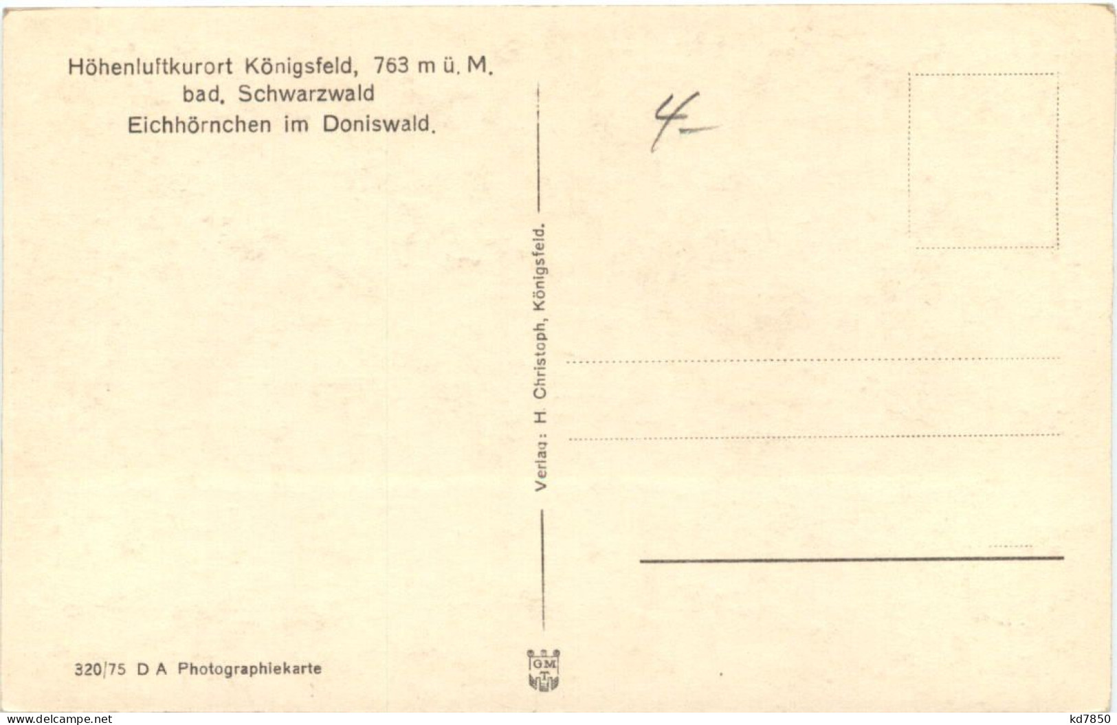 Königsfeld - Eichhörnchen Im Doniswald - Villingen - Schwenningen