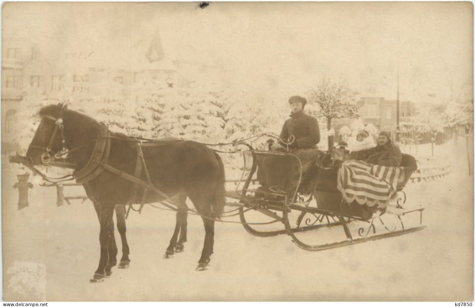 Schlittenfahrt Mit Pferd - Pferde