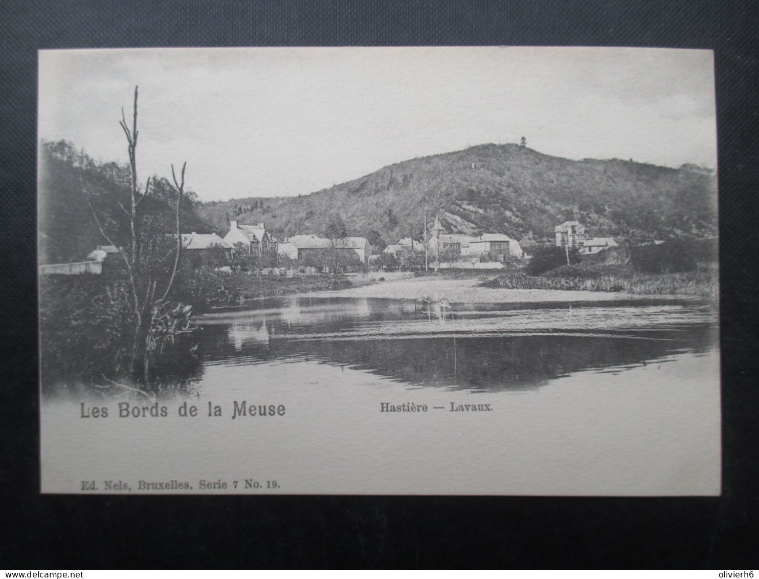 CP BELGIQUE (V2112) HASTIERE (2 Vues) Les Bords De La Meuse Hastière Lavaux - Hastière