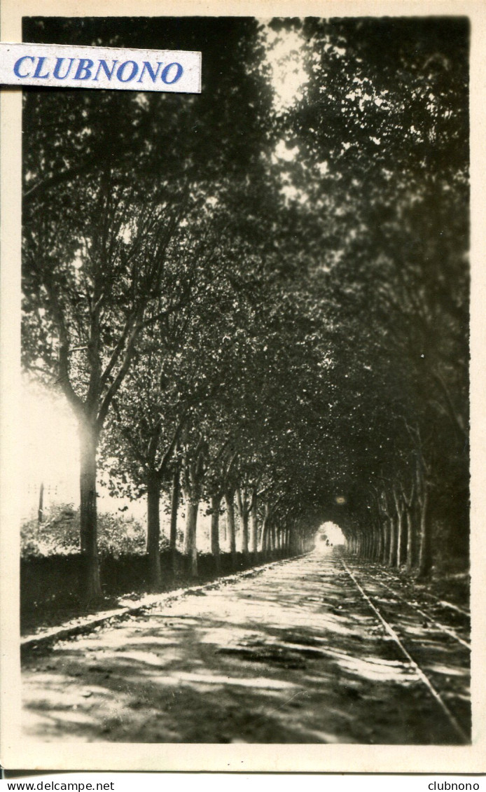 CPSM - LA COTE-SAINT-ANDRE - PROMENADE DE L'AVENUE HECTOR BERLIOZ (IMPECABLE) - La Côte-Saint-André