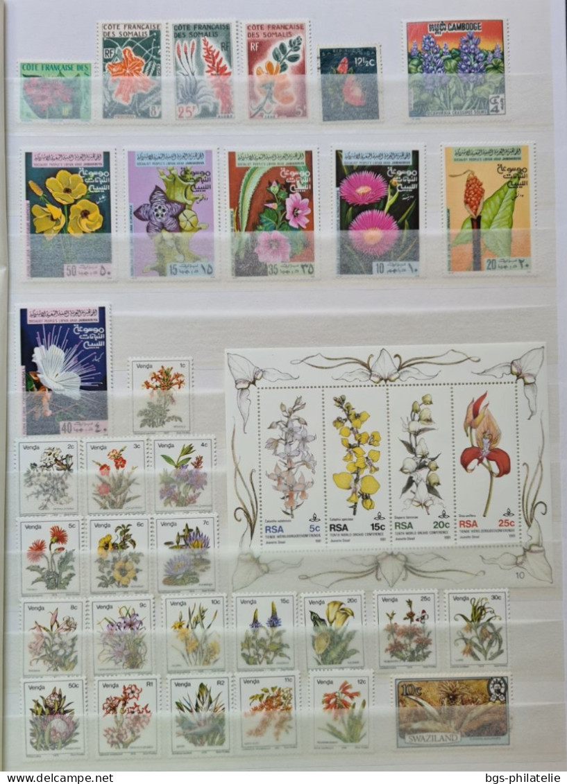 Collection De Timbres Sur Le Thème Des Fleurs. - Collections (without Album)