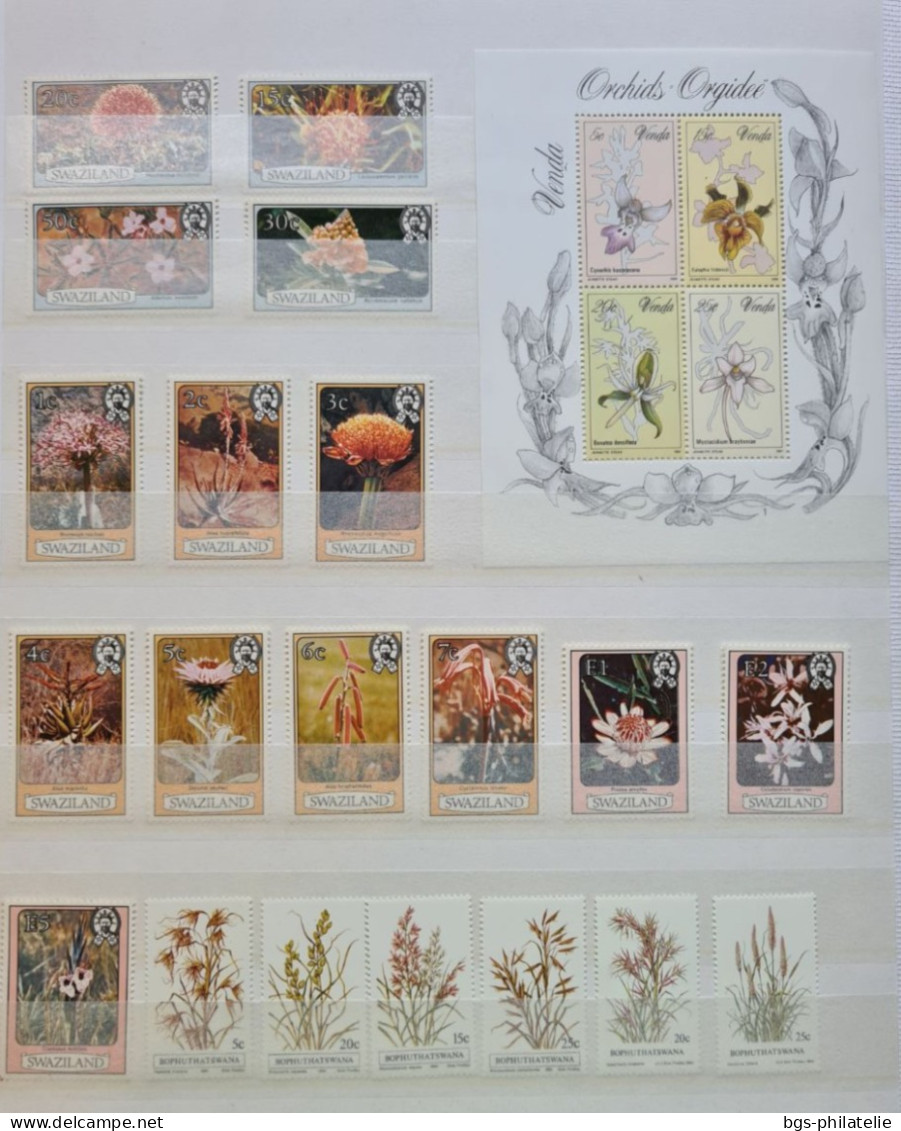 Collection De Timbres Sur Le Thème Des Fleurs. - Collections (without Album)