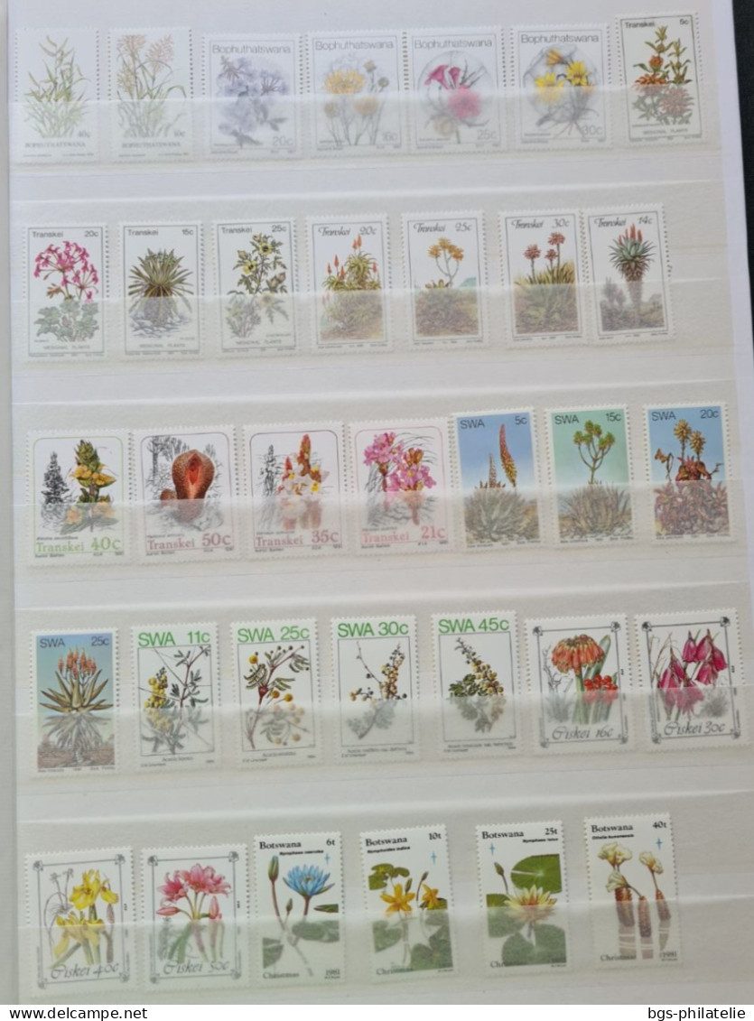 Collection De Timbres Sur Le Thème Des Fleurs. - Collections (without Album)