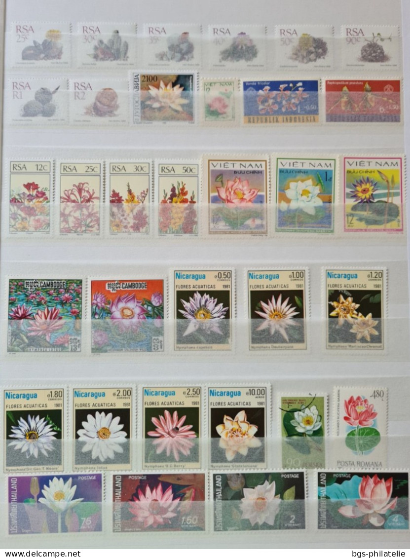 Collection De Timbres Sur Le Thème Des Fleurs. - Collections (without Album)