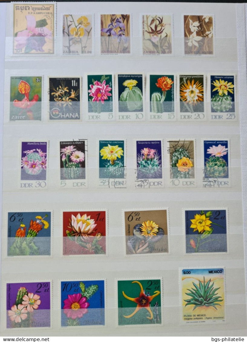 Collection de timbres sur le thème des Fleurs.