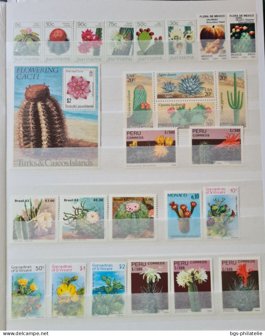 Collection de timbres sur le thème des Fleurs.