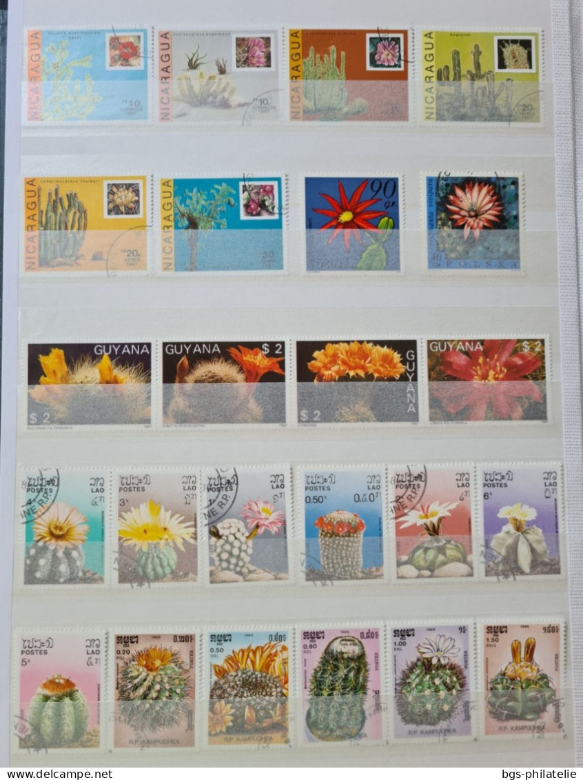 Collection de timbres sur le thème des Fleurs.