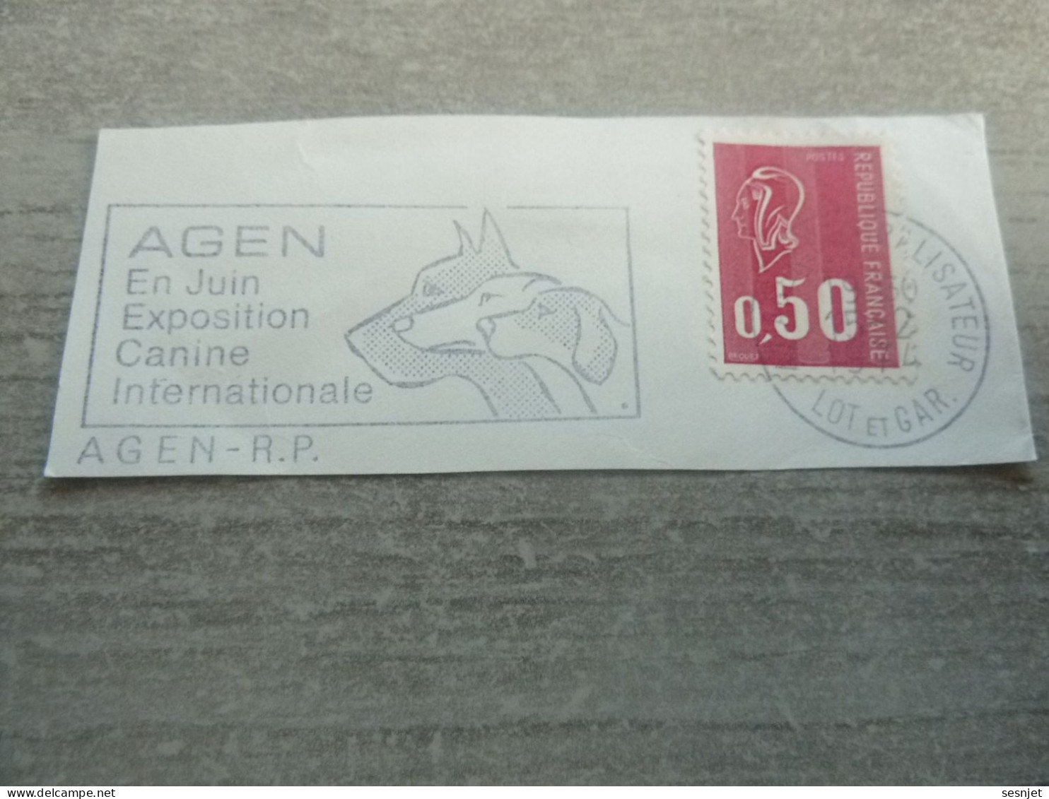 Agen (Lot-et-Garonne) - Exposition Canine Internationale - Yt 1664 - Flamme Philatélique - Année 1974 - - Used Stamps