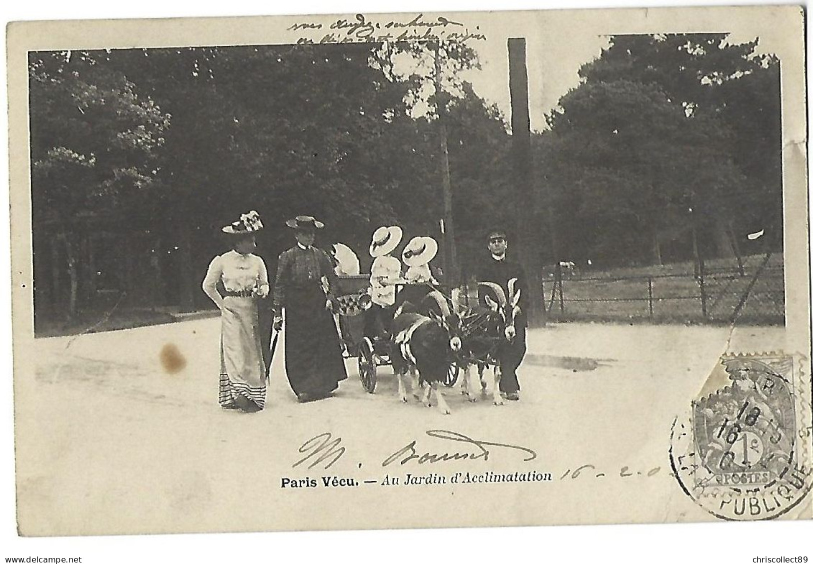 Carte Postale : Paris Vécu - Au Jardin D' Acclimatation - Lots, Séries, Collections