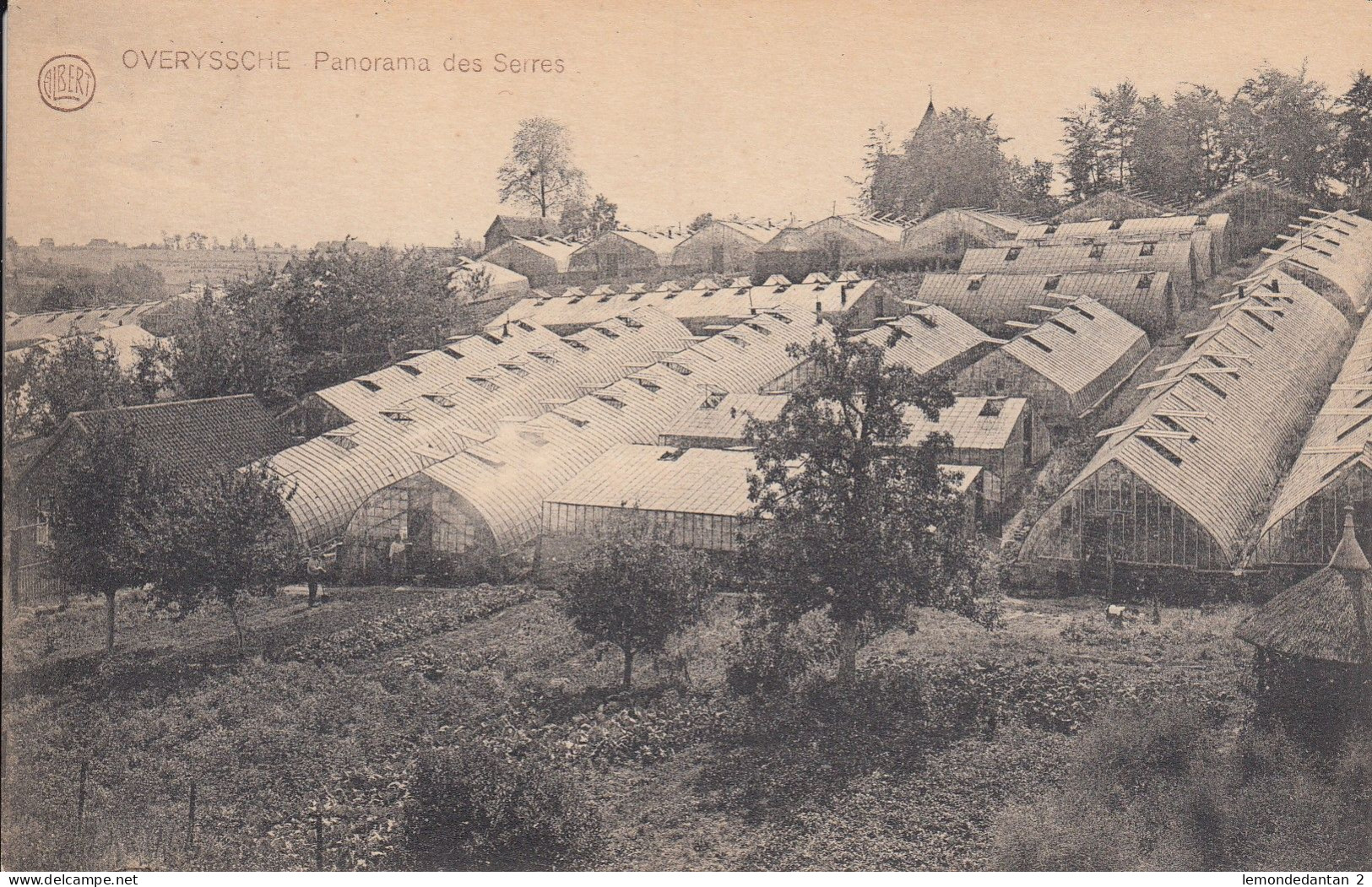 Overijse - Overyssche - Panorama Des Serres - Overijse