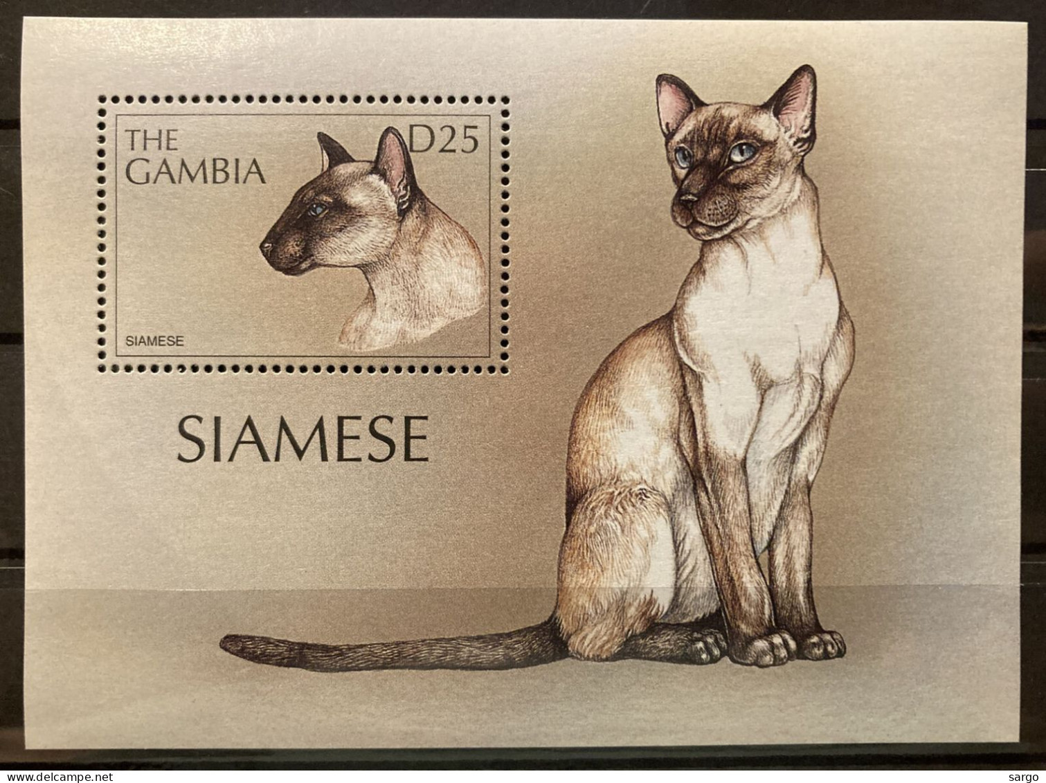 GAMBIA - 1997 - FAUNA - ANIMALS -  CAT - CATS - GATTI - 1 V - MNH - - Gatos Domésticos