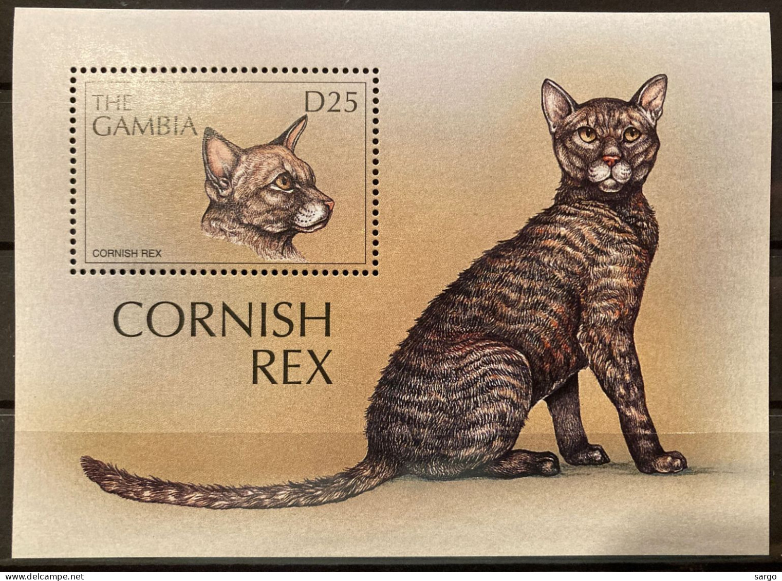 GAMBIA - 1997 - FAUNA - ANIMALS -  CAT - CATS - GATTI - 1 V - MNH - - Chats Domestiques