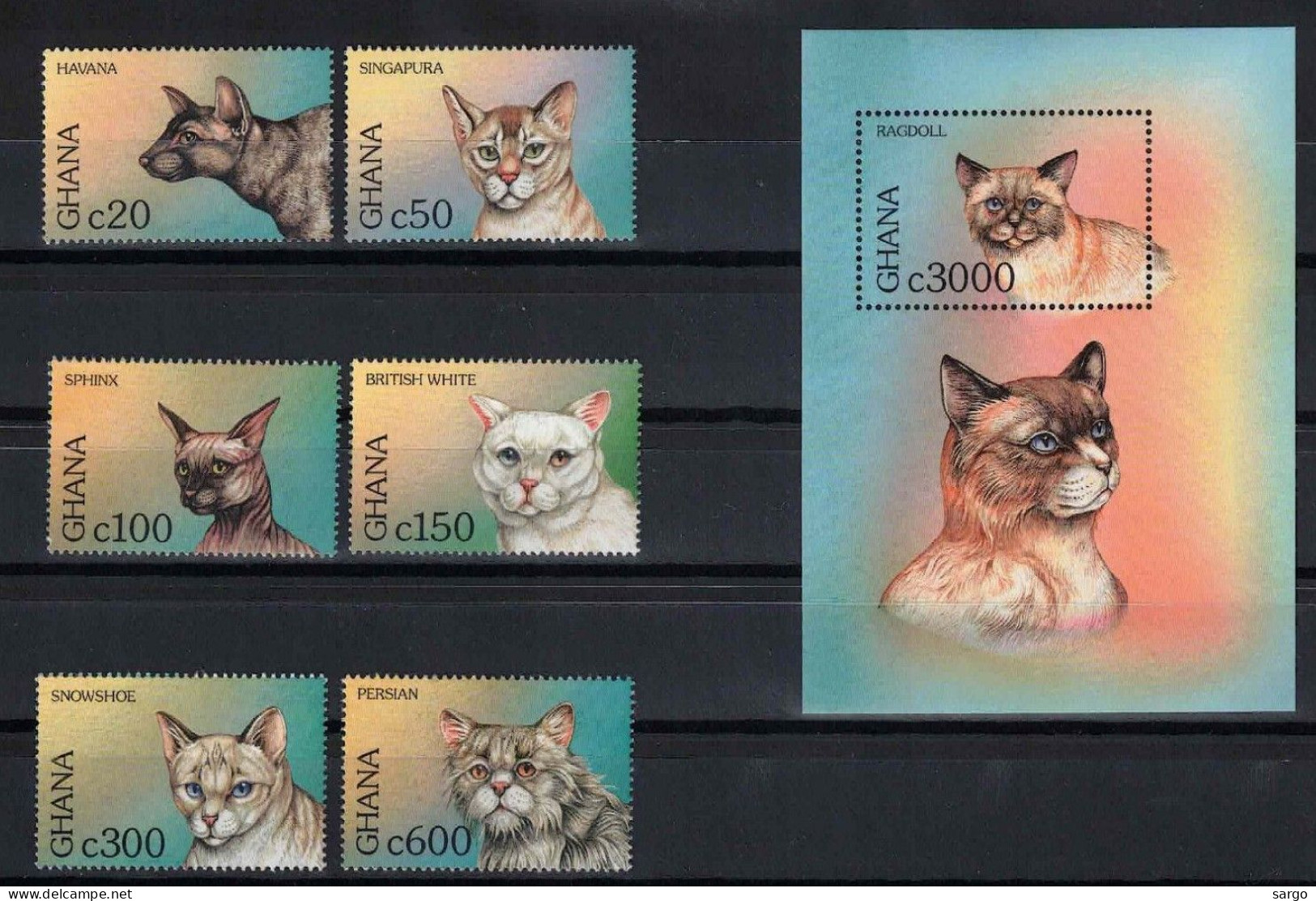 GHANA - 1997 - FAUNA - ANIMALS -  CAT - CATS - GATTI - 7 V - MNH - - Chats Domestiques