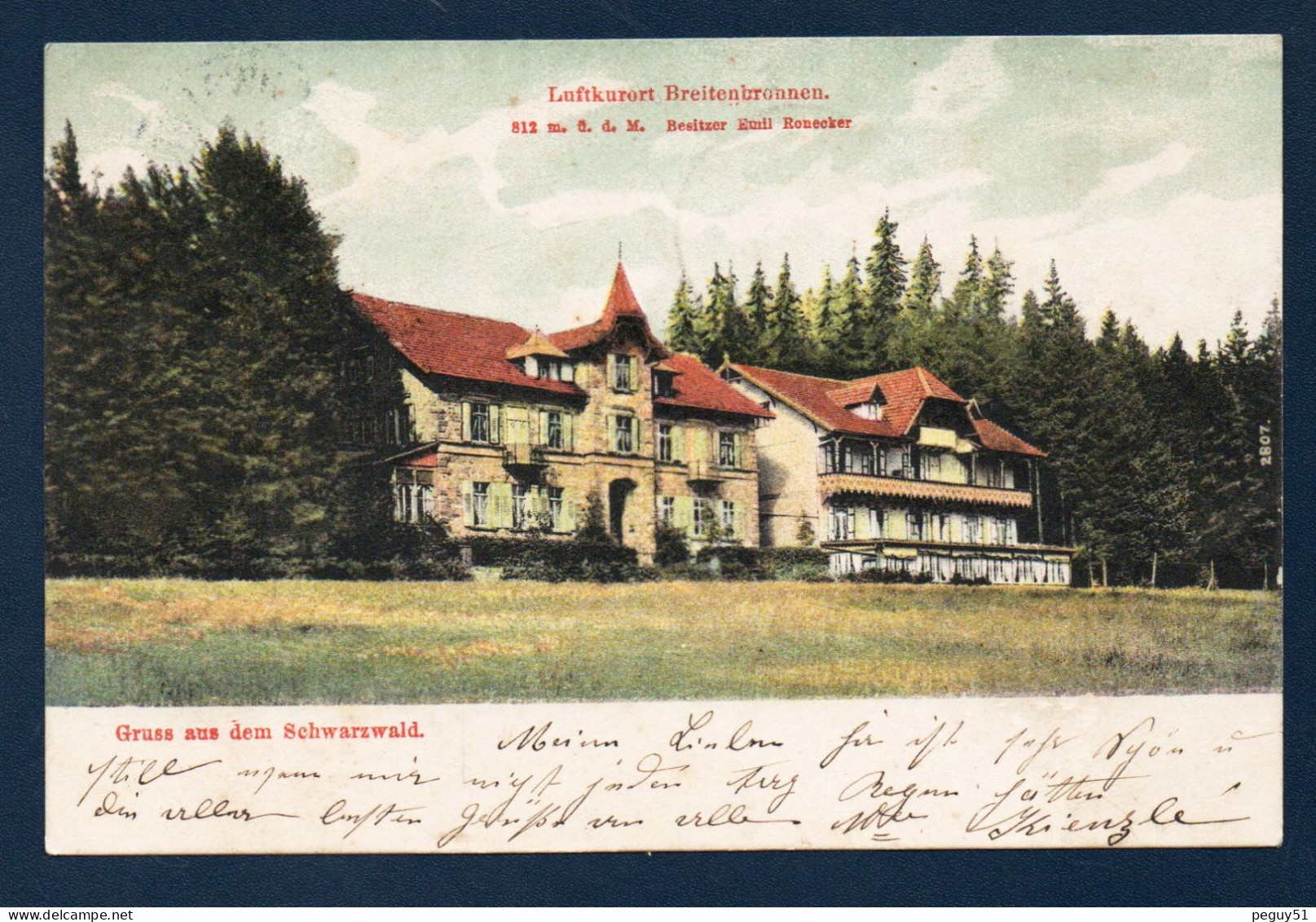 Luftkurort Breitenbronnen, Sasbach. (812 M ).  Gruss Aus Dem Schwarzwald.  Besitzer Emil Ronecker. 1906 - Sasbach