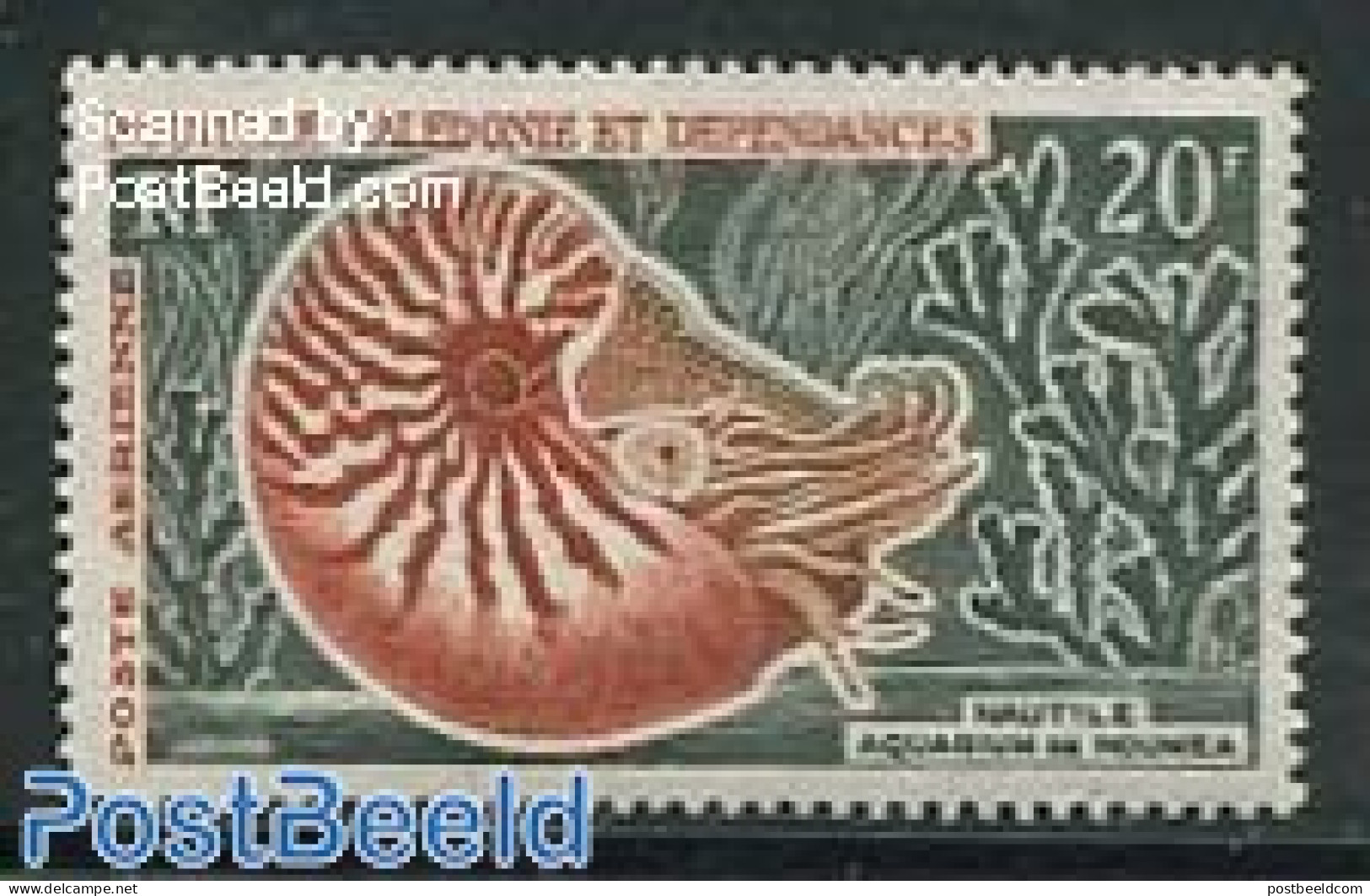 New Caledonia 1962 20F, Stamp Out Of Set, Mint NH, Nature - Shells & Crustaceans - Neufs