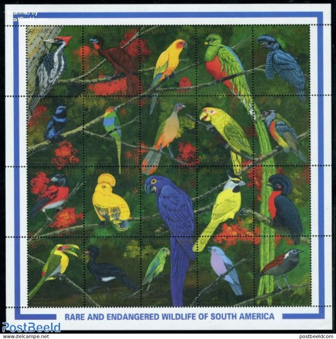 Guyana 1990 Birds 20v M/s, Mint NH, Nature - Birds - Woodpeckers - Guyana (1966-...)