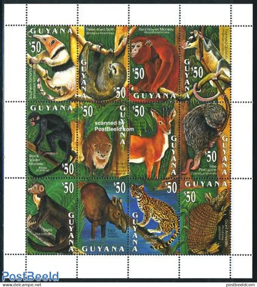 Guyana 1993 Domestic Mammals 12v M/s, Mint NH, Nature - Animals (others & Mixed) - Cat Family - Monkeys - Guyana (1966-...)