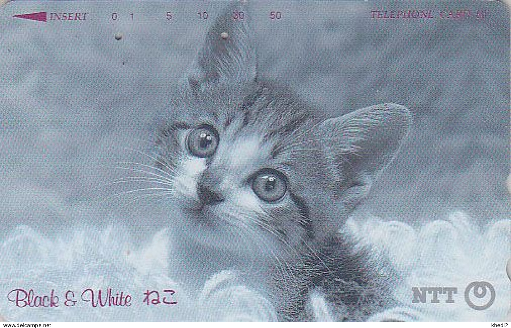 Télécarte JAPON / NTT 291-214 B / TBE - ANIMAL - CHAT - CAT JAPAN Phonecard - KATZE SERIE BLACK & WHITE - 4070 - Japon