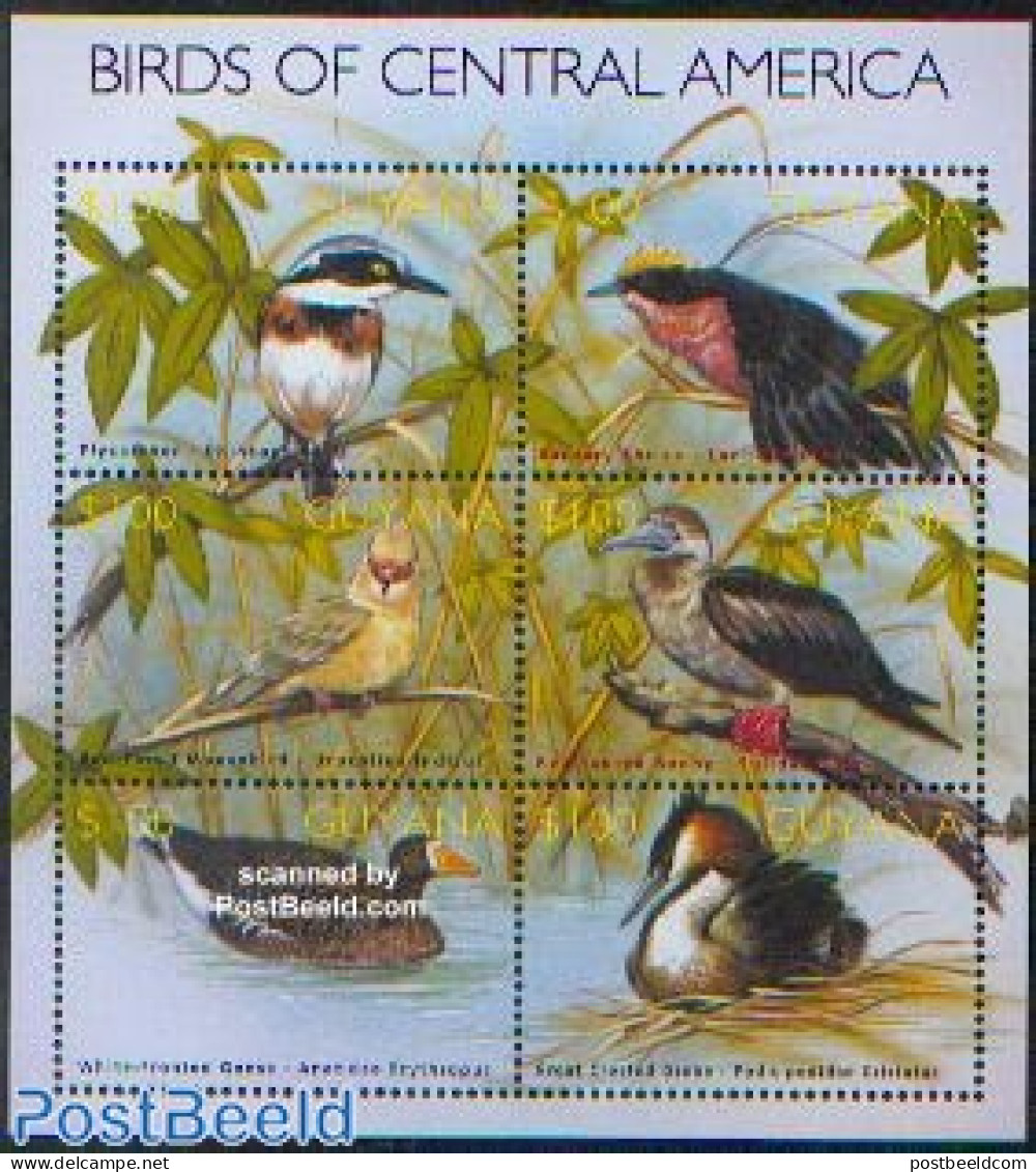 Guyana 2002 Birds 6v M/s, Mint NH, Nature - Birds - Ducks - Guyana (1966-...)
