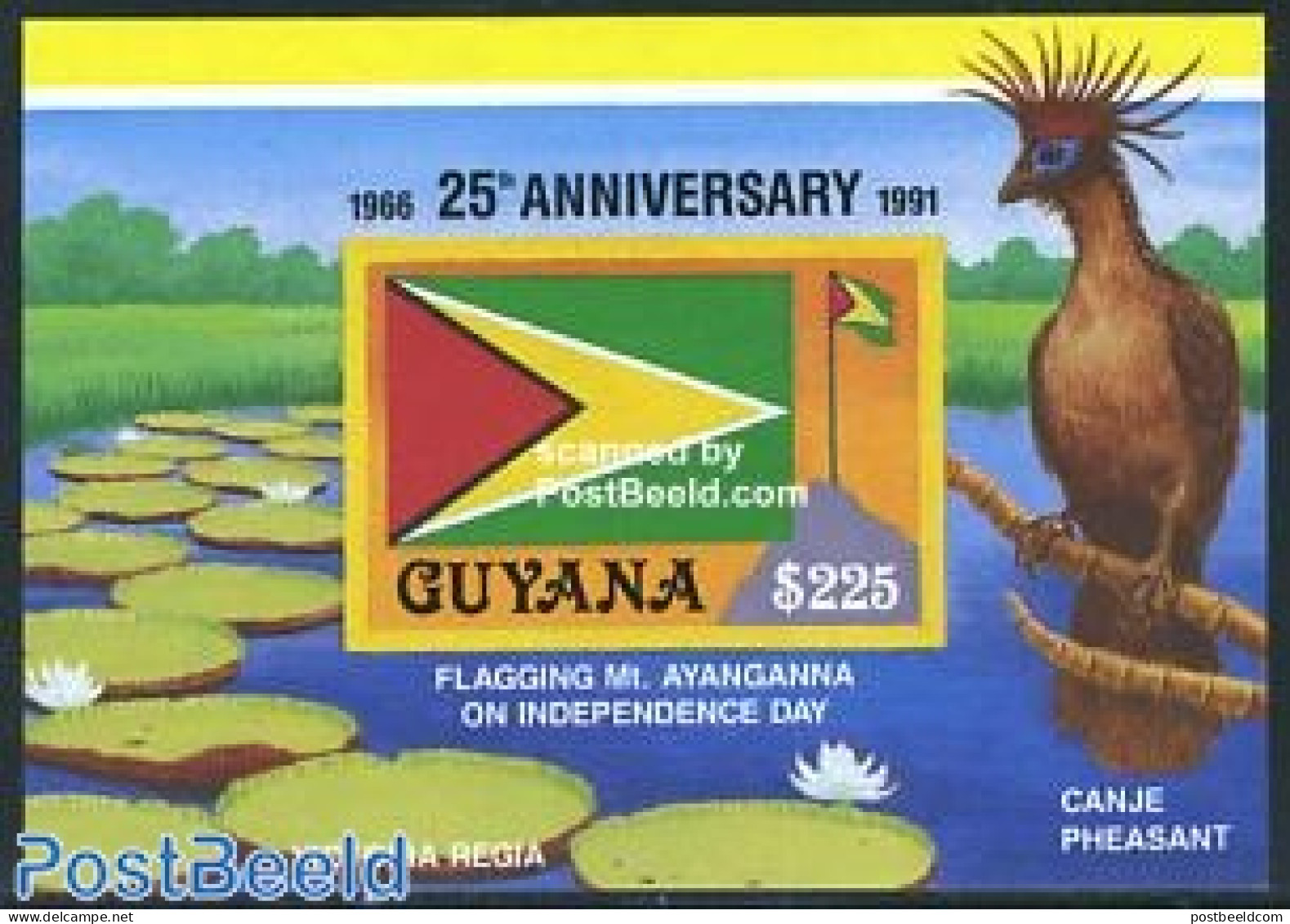 Guyana 1991 25 Years Independence S/s, Mint NH, History - Nature - Flags - Birds - Guyana (1966-...)