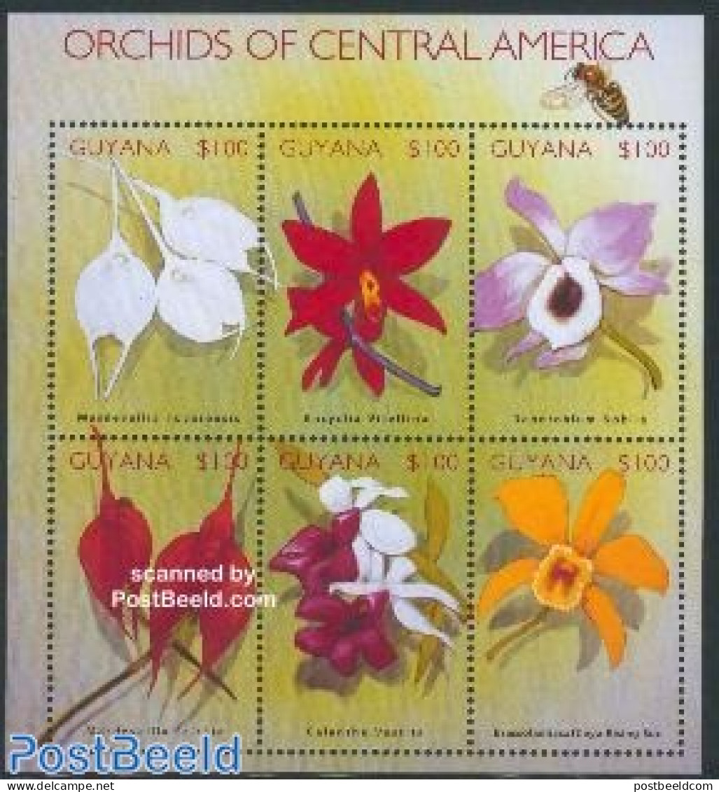 Guyana 2002 Orchids 6v M/s /Masdevallia Tovarensis, Mint NH, Nature - Flowers & Plants - Orchids - Guyana (1966-...)
