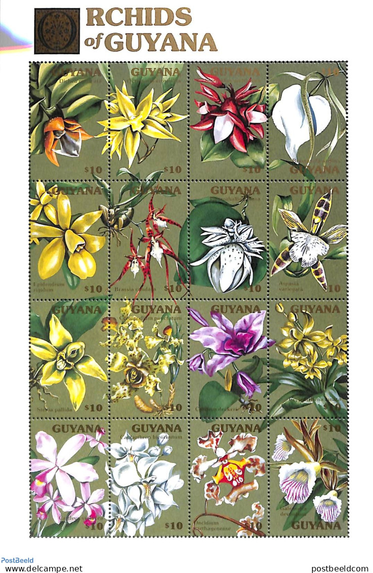 Guyana 1990 Orchids 16v M/s, Mint NH, Nature - Flowers & Plants - Orchids - Guiana (1966-...)