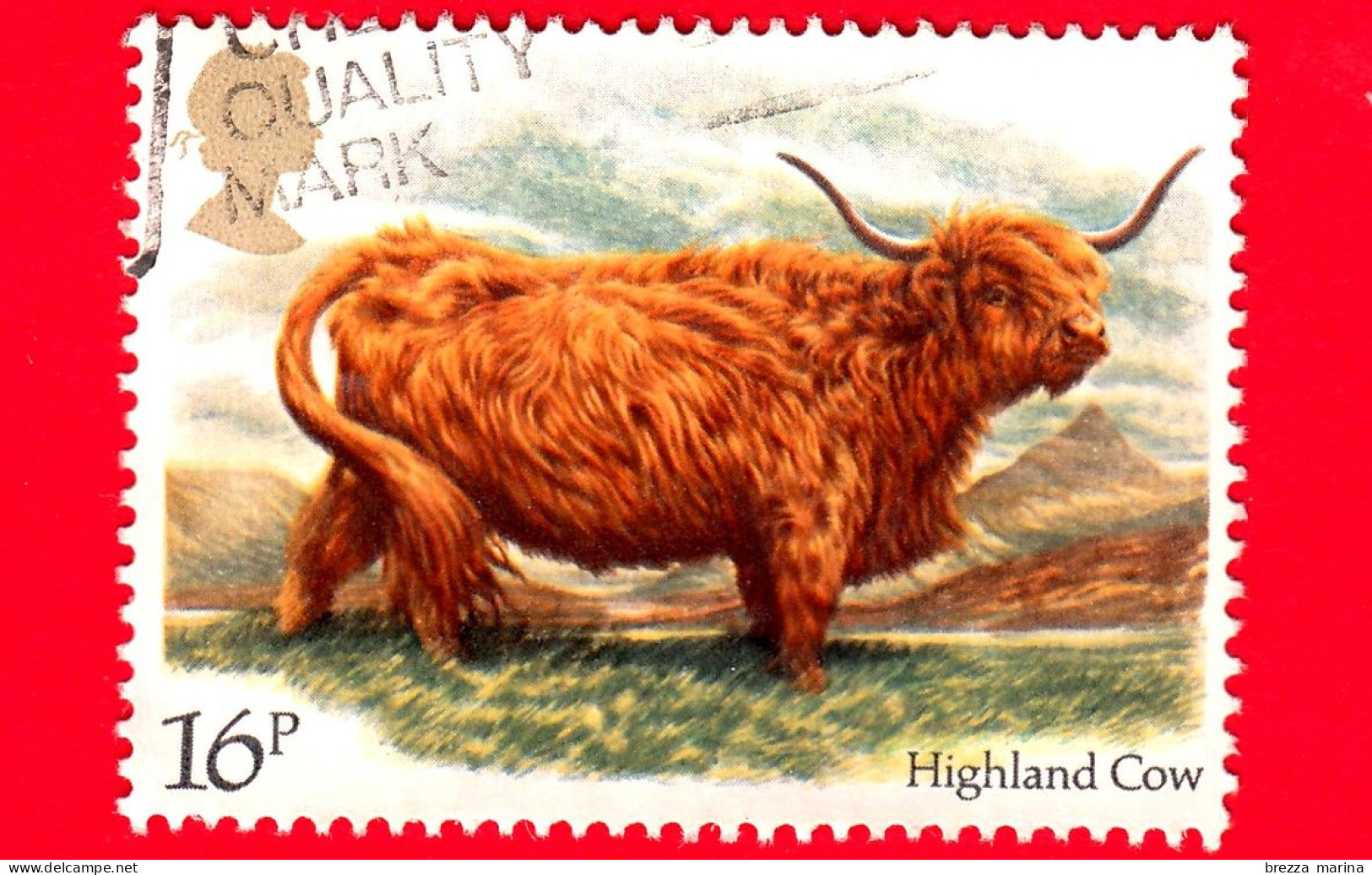 INGHILTERRA - GB - GRAN BRETAGNA - Usato 1984 - Bovini Britannici - Uro - Highland Cattle (Bos Primigenius Taurus) - 16 - Oblitérés