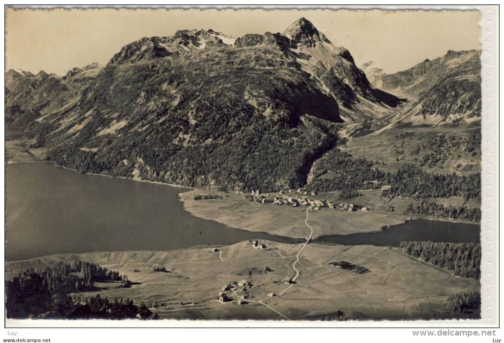 SILVAPLANA Und SURLEJ - Mit Piz Polaschin Und Julierpass - Silvaplana