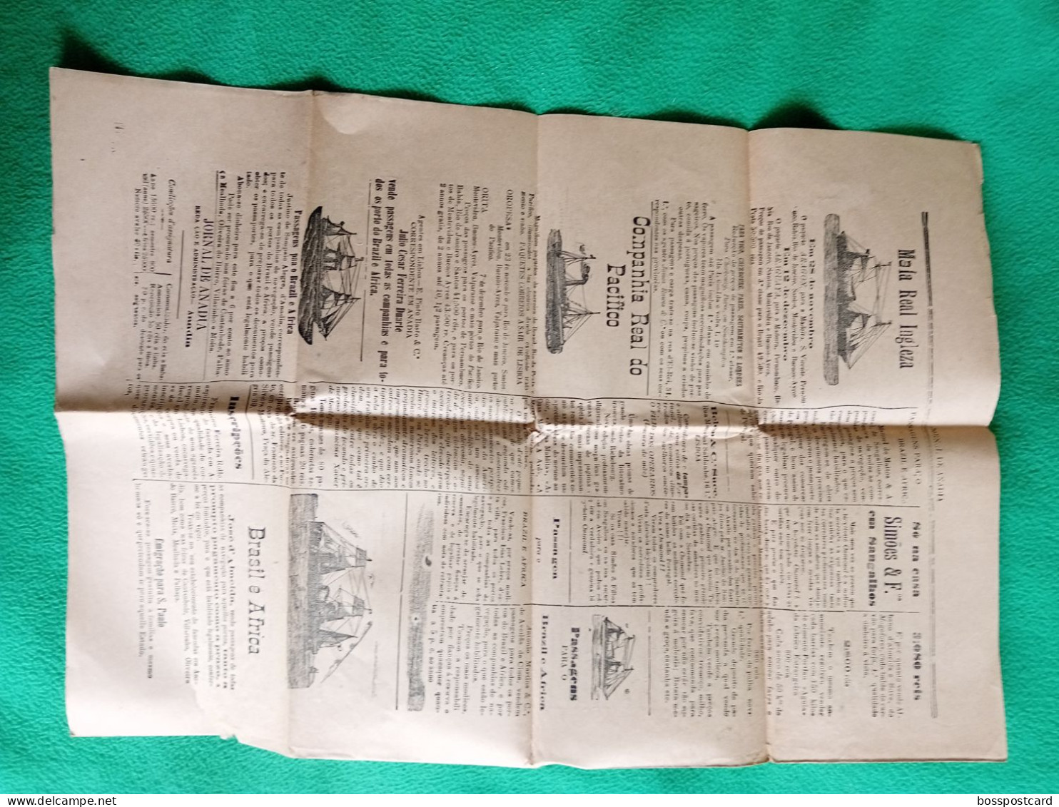 Anadia - Jornal De Anadia, 3 De Dedembro De 1910 - Imprensa. Aveiro. Portugal. - Testi Generali