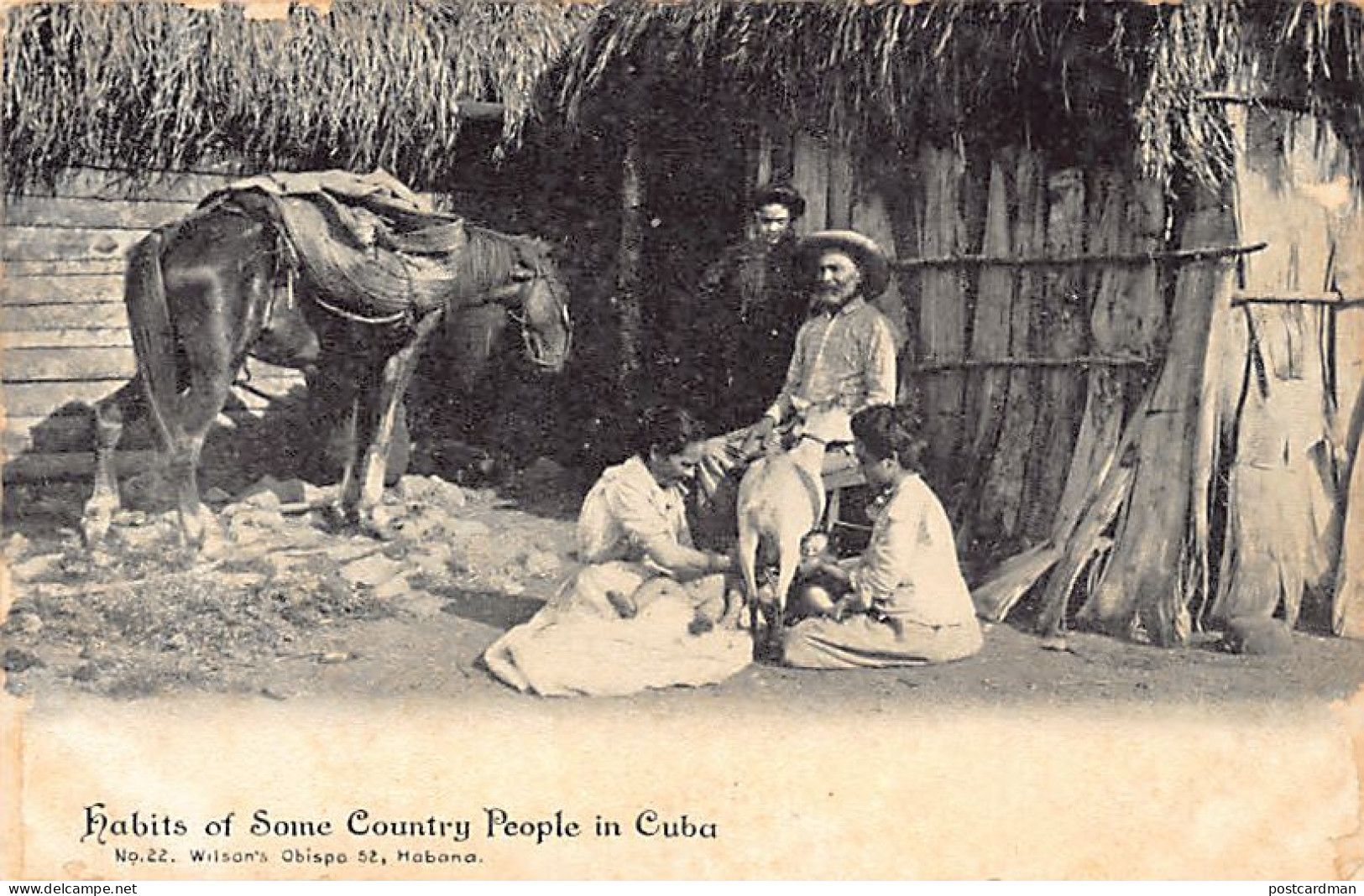 Cuba - Hábitos De Algunos Campesinos - La Cabra Alimenta Al Bebé. - Ed. Wilson's Obispo 22 - Cuba