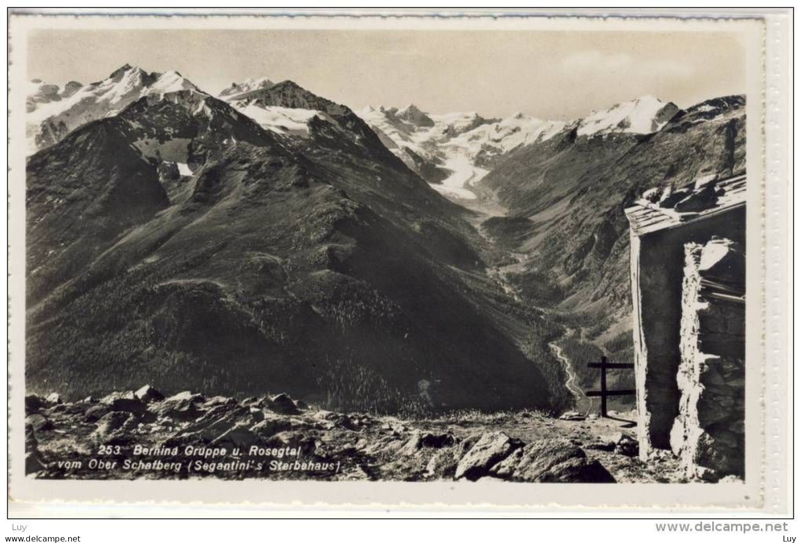 Bernina Gruppe U. Sosegtal Vom OBER SCHAFBERG ( Segantini's Sterbehaus ) Pontresina, Alpin - Pontresina