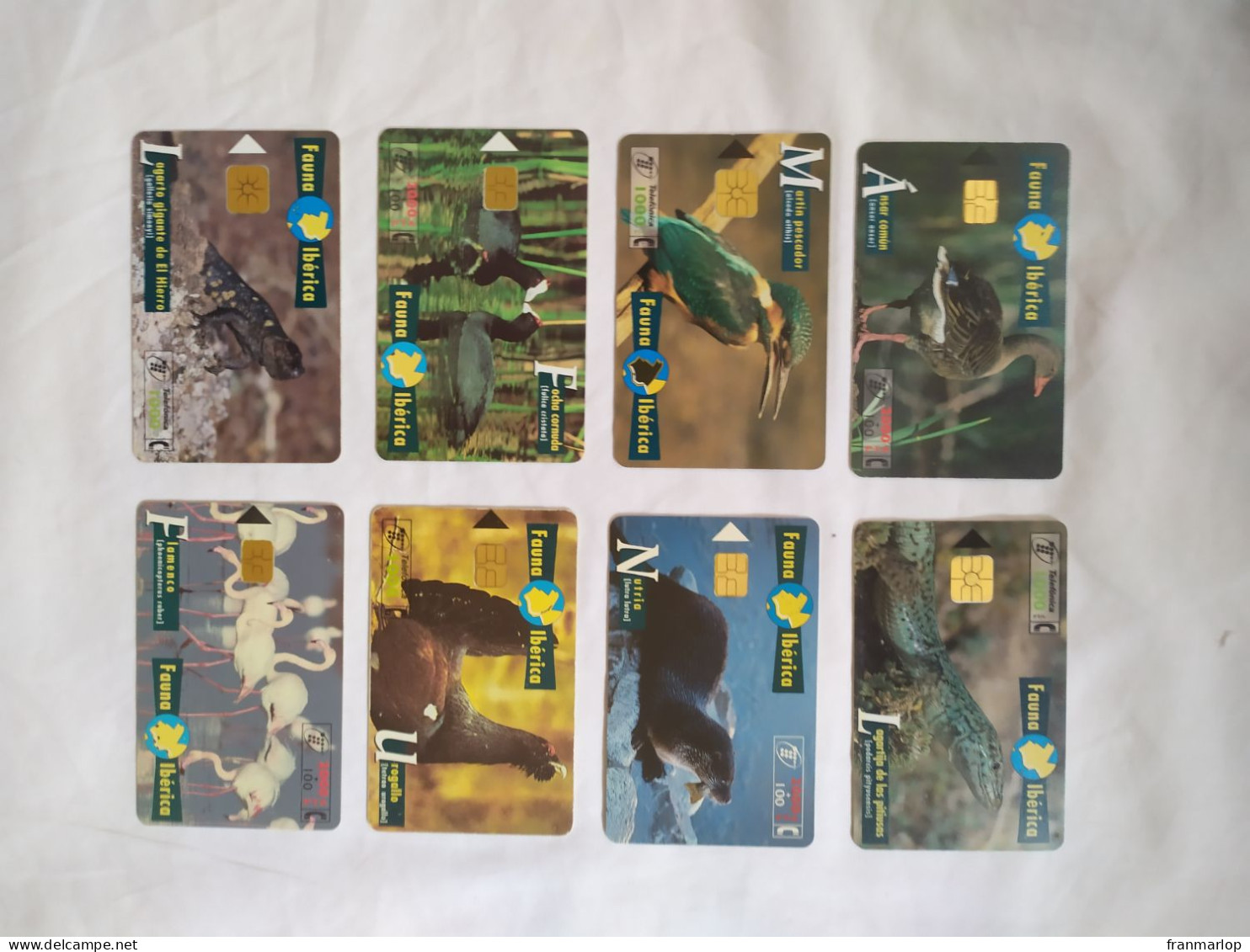 Tarjetas Telefónicas. Fauna Ibérica  Colección Completa De 80 Tarjetas - Emisiones Básicas