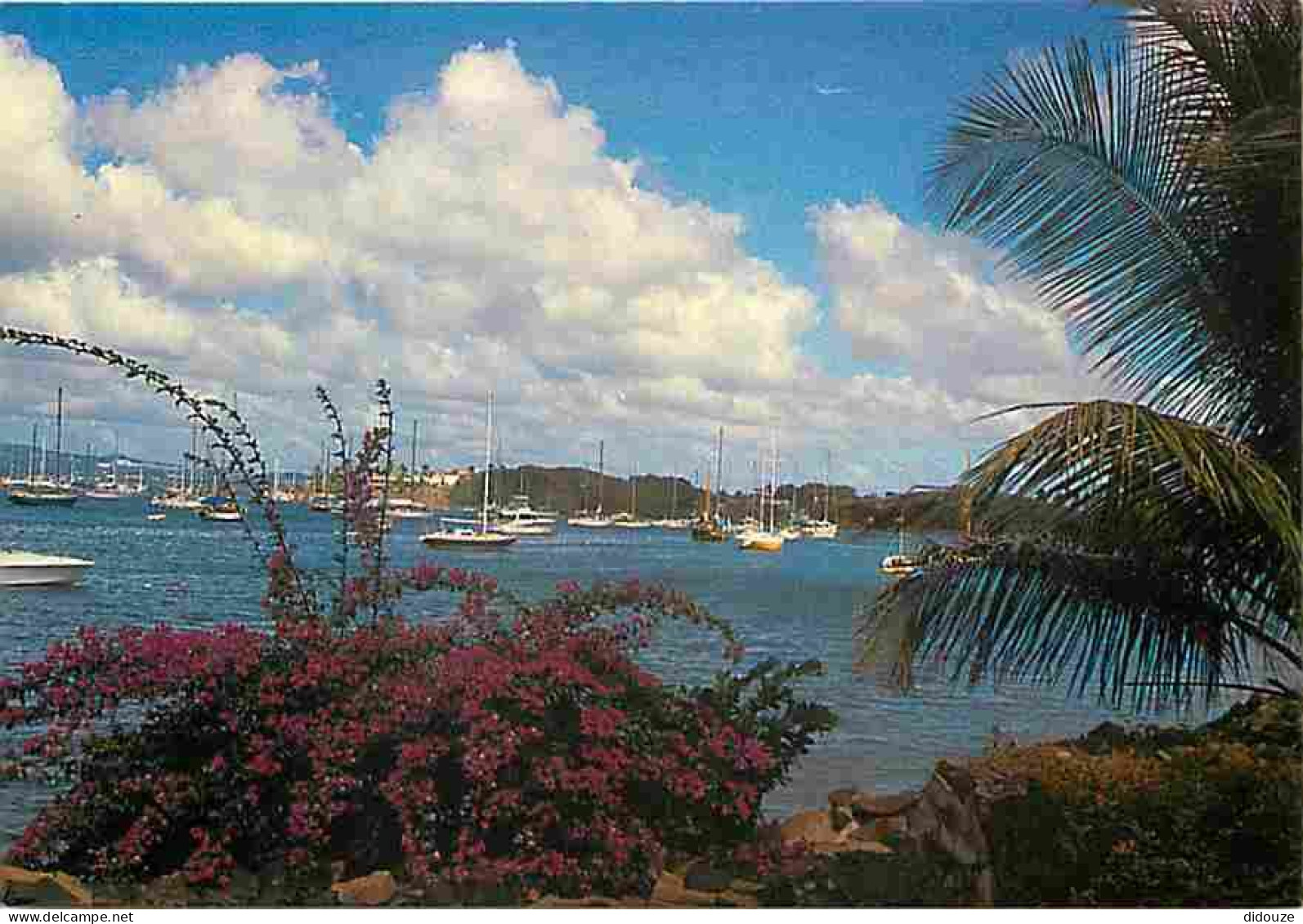 Martinique - Fort De France - Paysage Sur La Baie De Fort De France - CPM - Voir Scans Recto-Verso - Fort De France