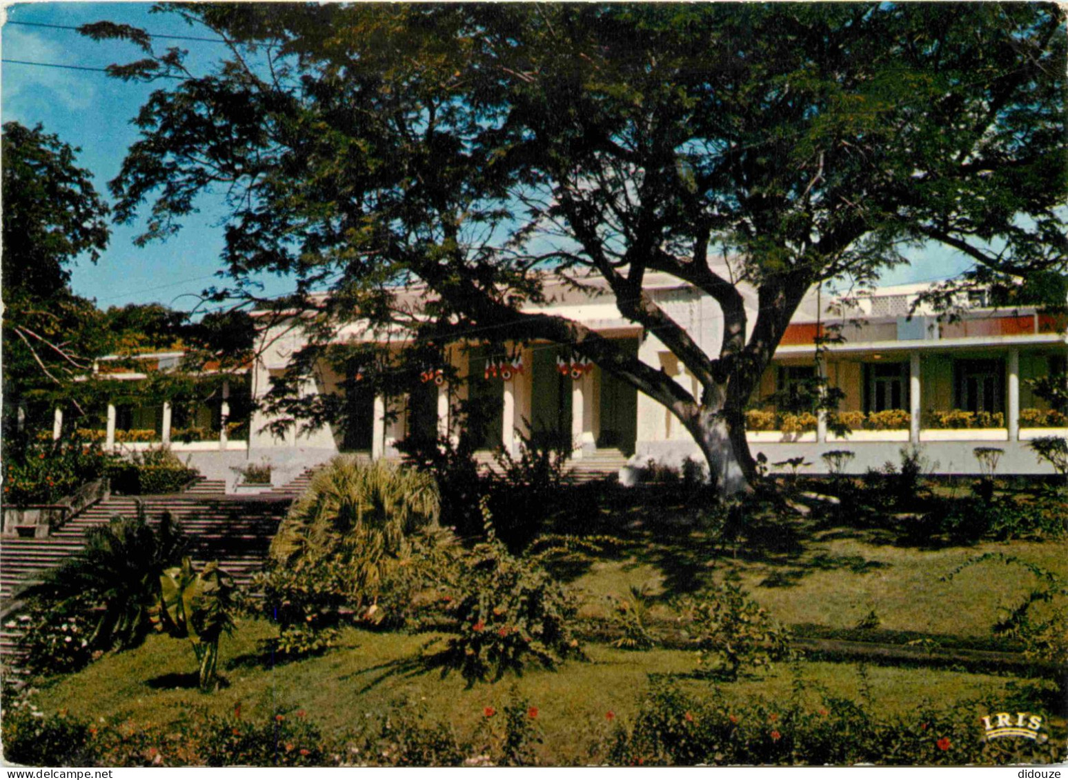 Guadeloupe - Basse Terre - Le Conseil Général - CPM - Voir Scans Recto-Verso - Basse Terre