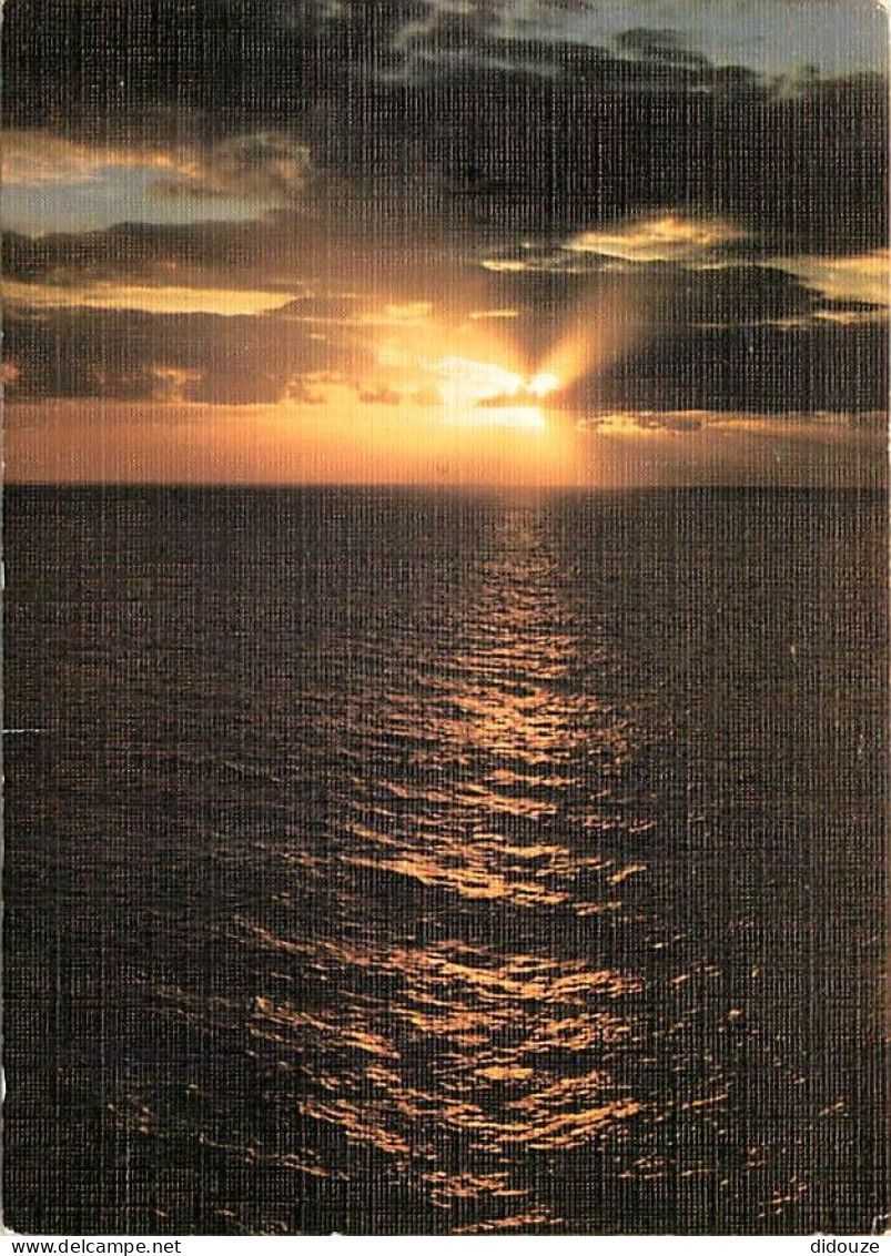 Coucher De Soleil - CPM - Voir Scans Recto-Verso - Tegenlichtkaarten, Hold To Light