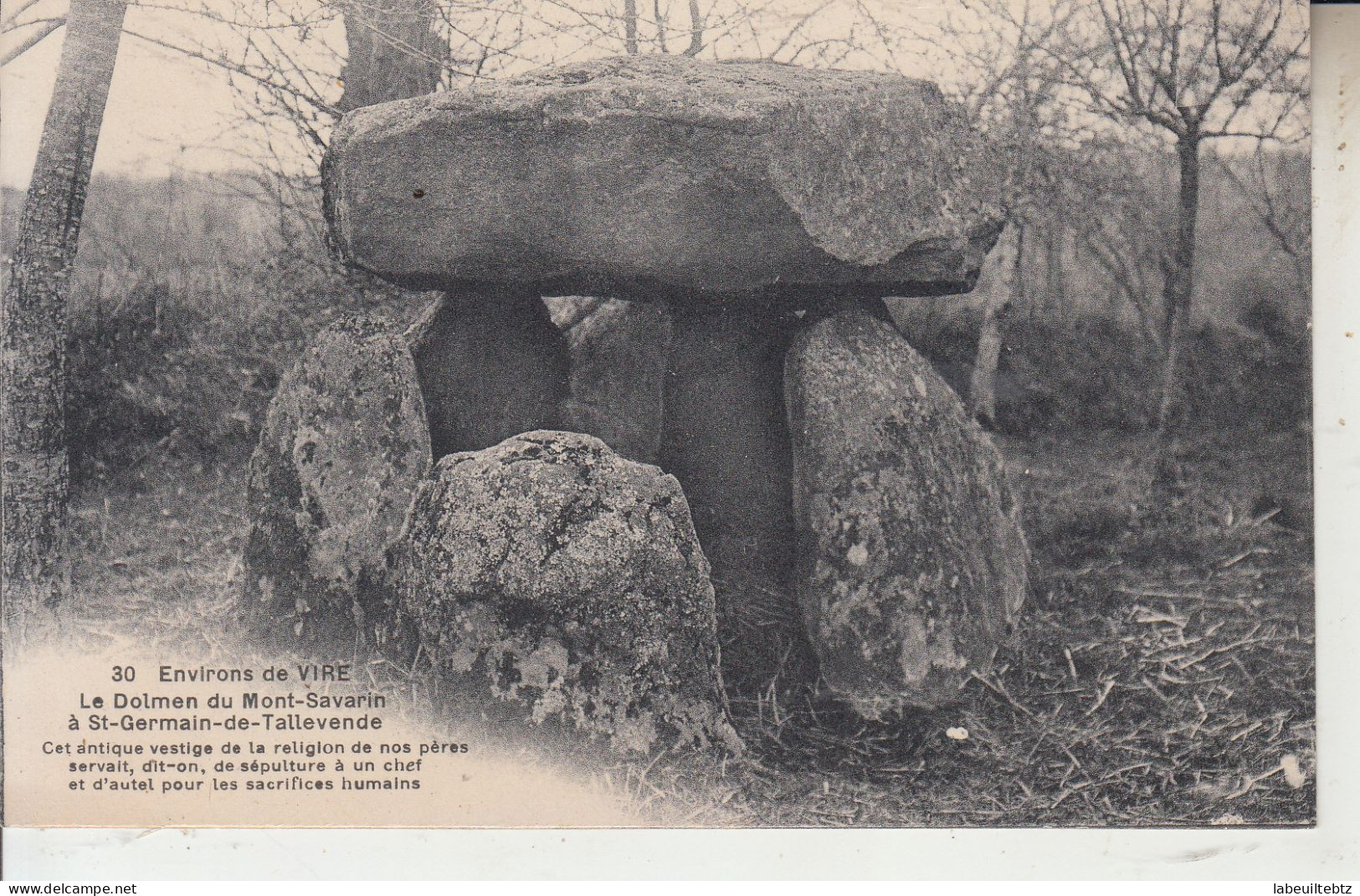 Environs De VIRE - Le Dolmen De Mont Savarin à ST GERMAIN DE TALLEVENDE  PRIX FIXE - Dolmen & Menhirs