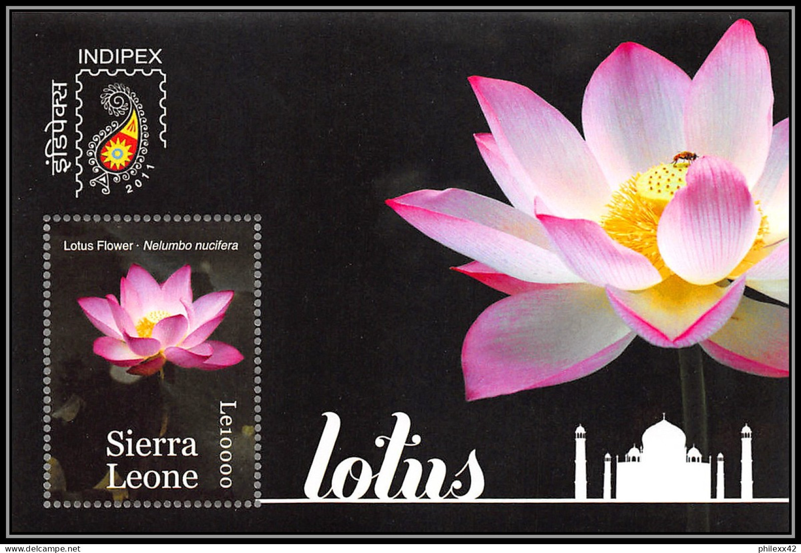 81056 Lesotho BF N°637 LOTUS Indipex 2011 New Delhi India Fleur Flowers Flower Fleurs ** MNH - Sierra Leone (1961-...)