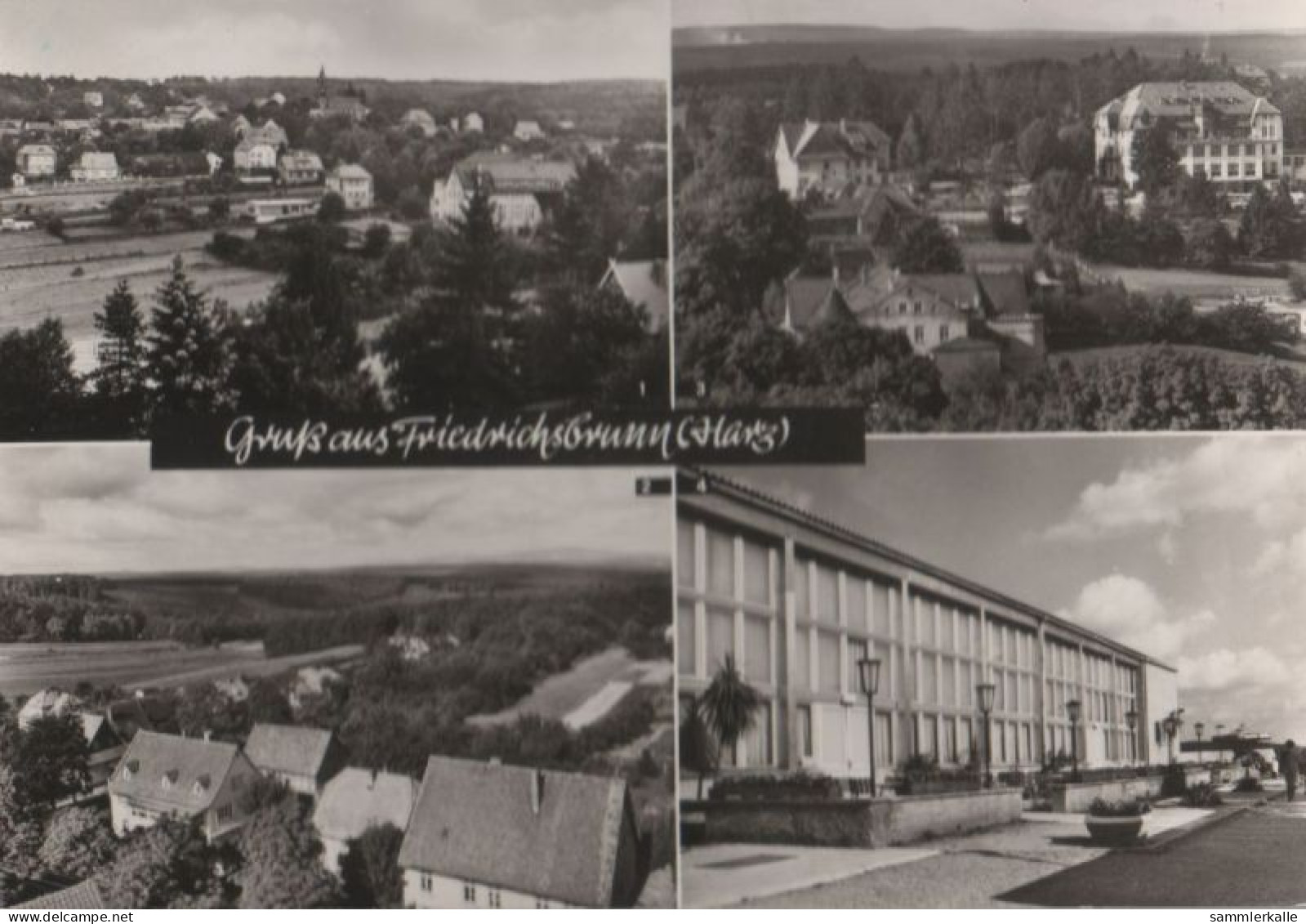 50910 - Friedrichsbrunn - U.a. Blick Zum Brocken - Ca. 1985 - Thale