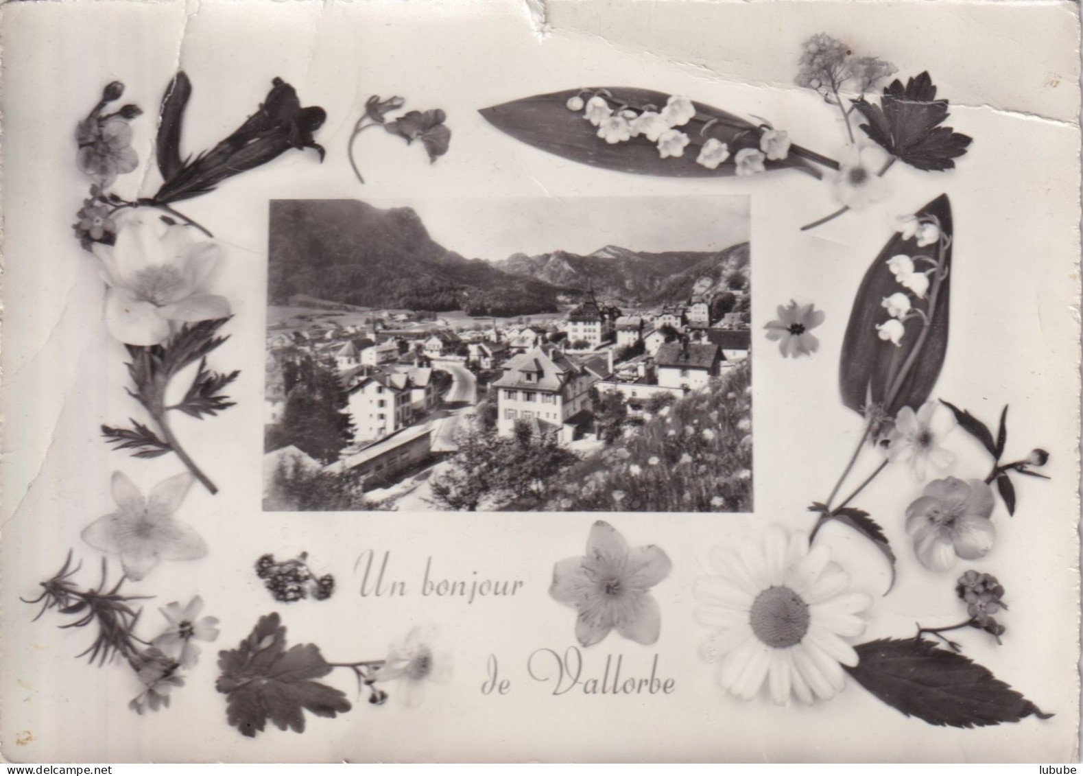 Vallorbe - Un Bonjour De...  (Blumenrahmen)      Ca. 1950 - Vallorbe