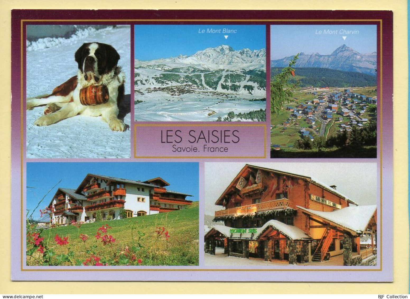 73. LES SAISIES – Multivues / Chien Saint-Bernard (voir Scan Recto/verso) - Beaufort