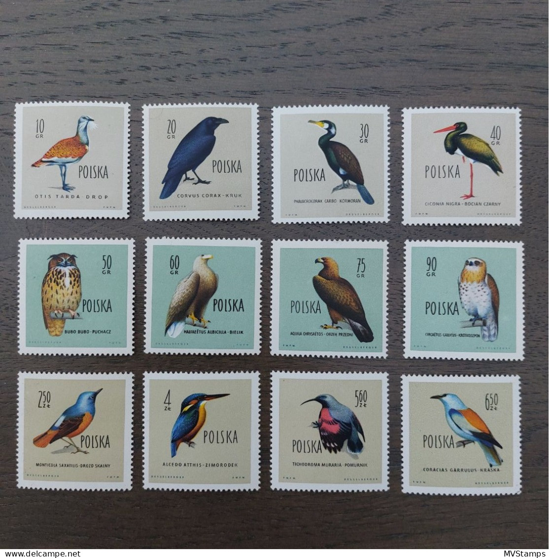 Poland 1960 Set Birds/Vogel Stamps (Michel 1197/1208) MNH - Unused Stamps