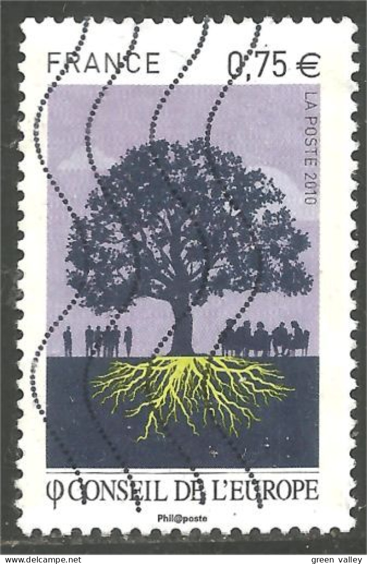 331eu-143 France Conseil Europe Counsel Arbre Tree Baum - Trees