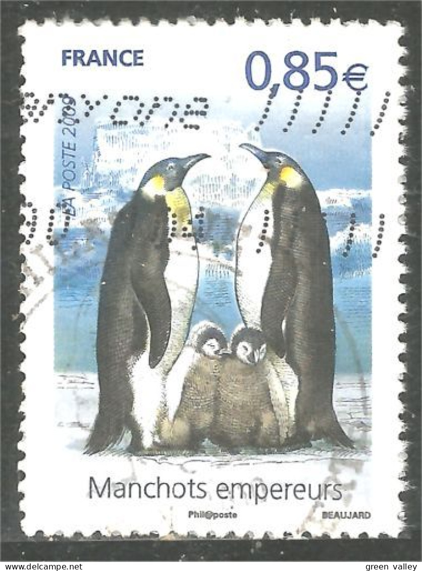 331eu-45 France Polaire Polar Manchot Empereur Emperor Penguin Kaiserpinguin Pinguino - Penguins