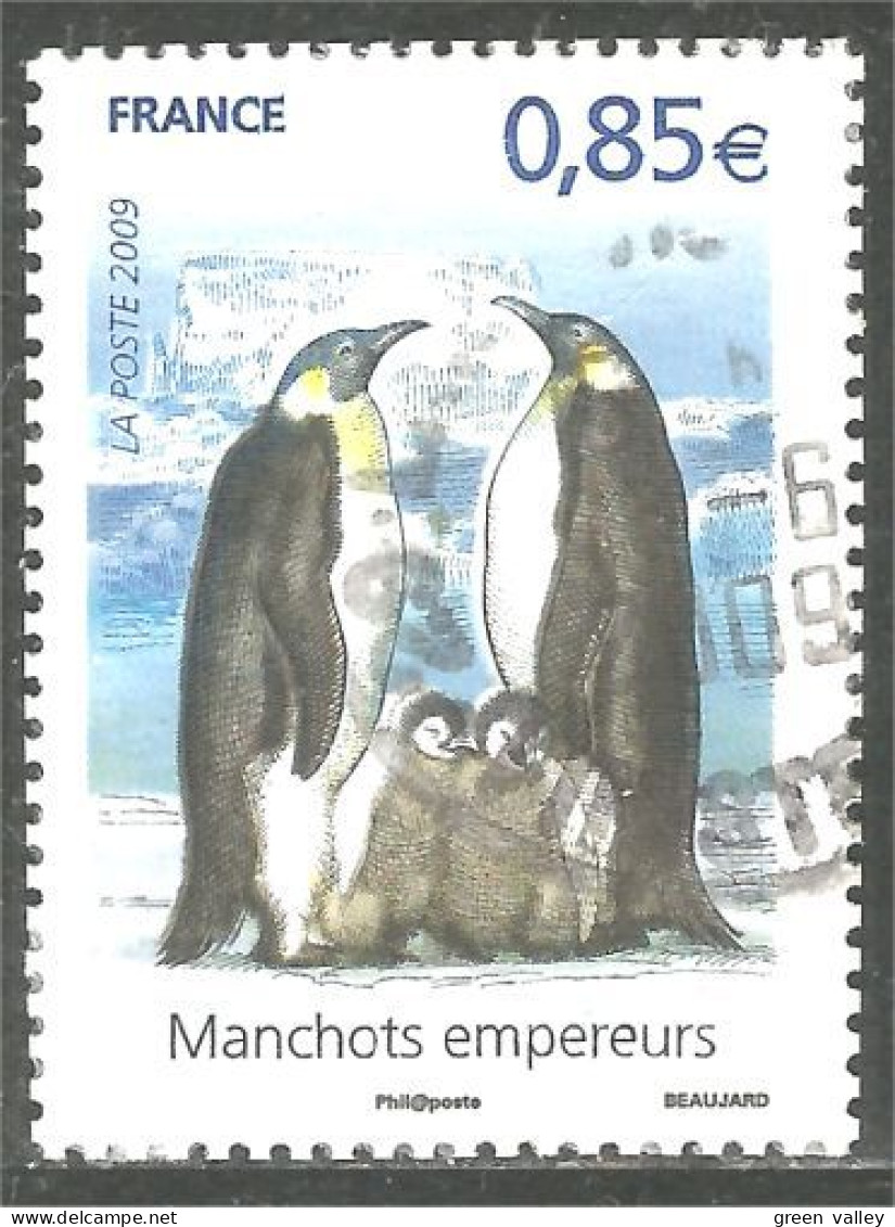 331eu-43 France Manchot Empereur Emperor Penguin Kaiserpinguin Pinguino - Oblitérés