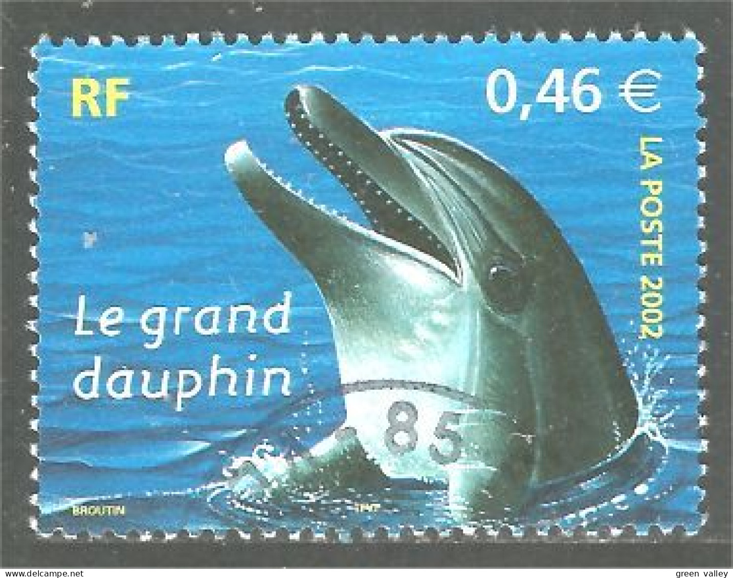 331eu-47 France Dauphin Baleine Dolphin Dolfijn Delfino Delfín - Dolfijnen