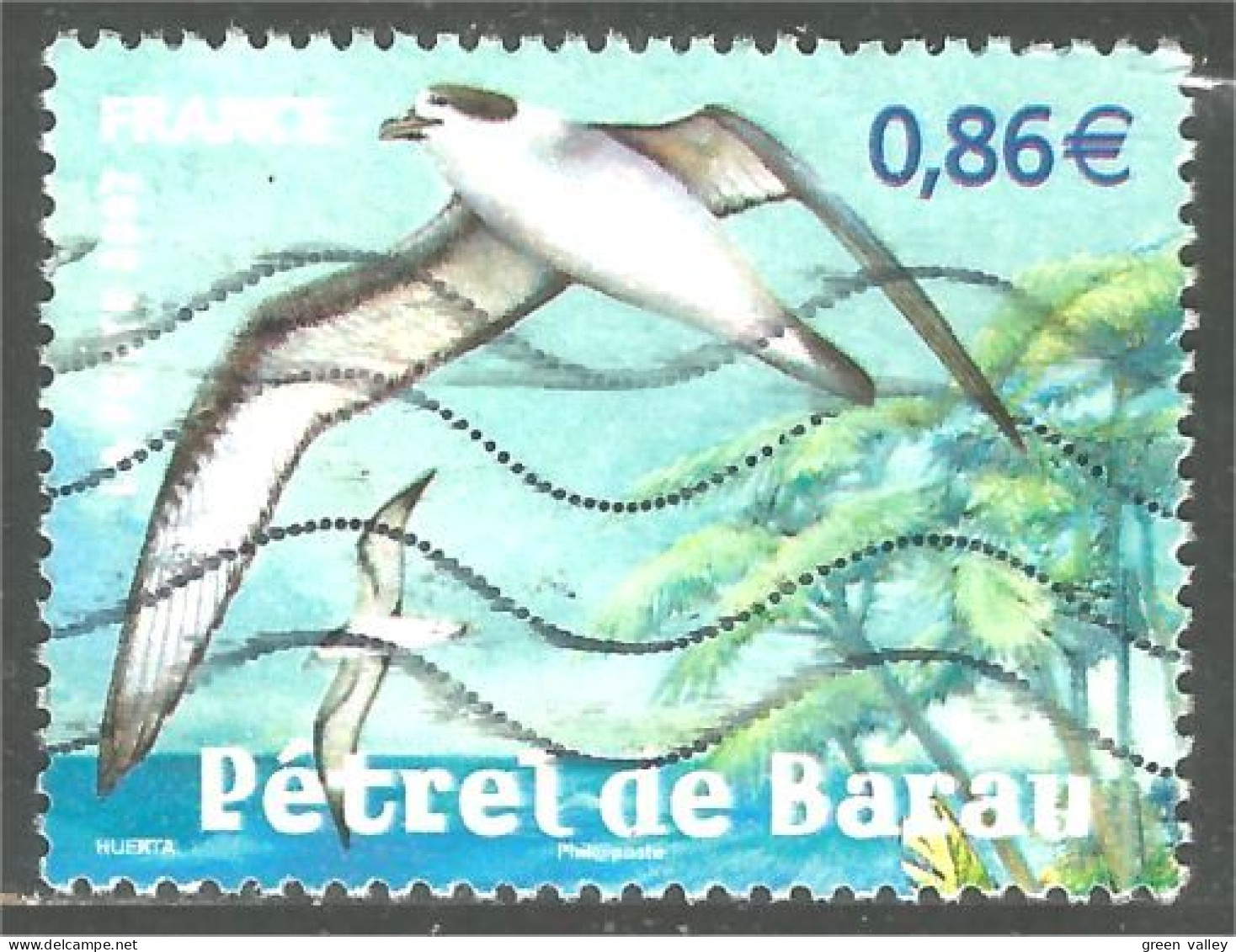 331eu-39 France Pétrel Sturmvogel Stormvogel Oiseau Bird Uccello Vogel - Gabbiani